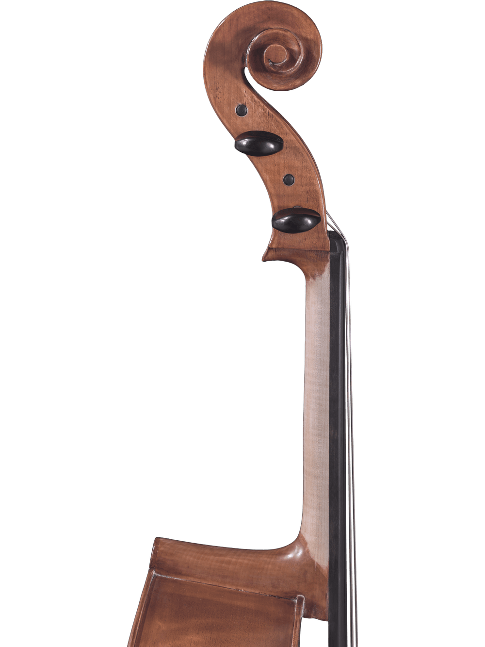 Close-up of the scroll and upper neck of the Canzona Caprice 300 Cello Outfit, highlighting the tuning pegs and part of the fingerboard against a white background.