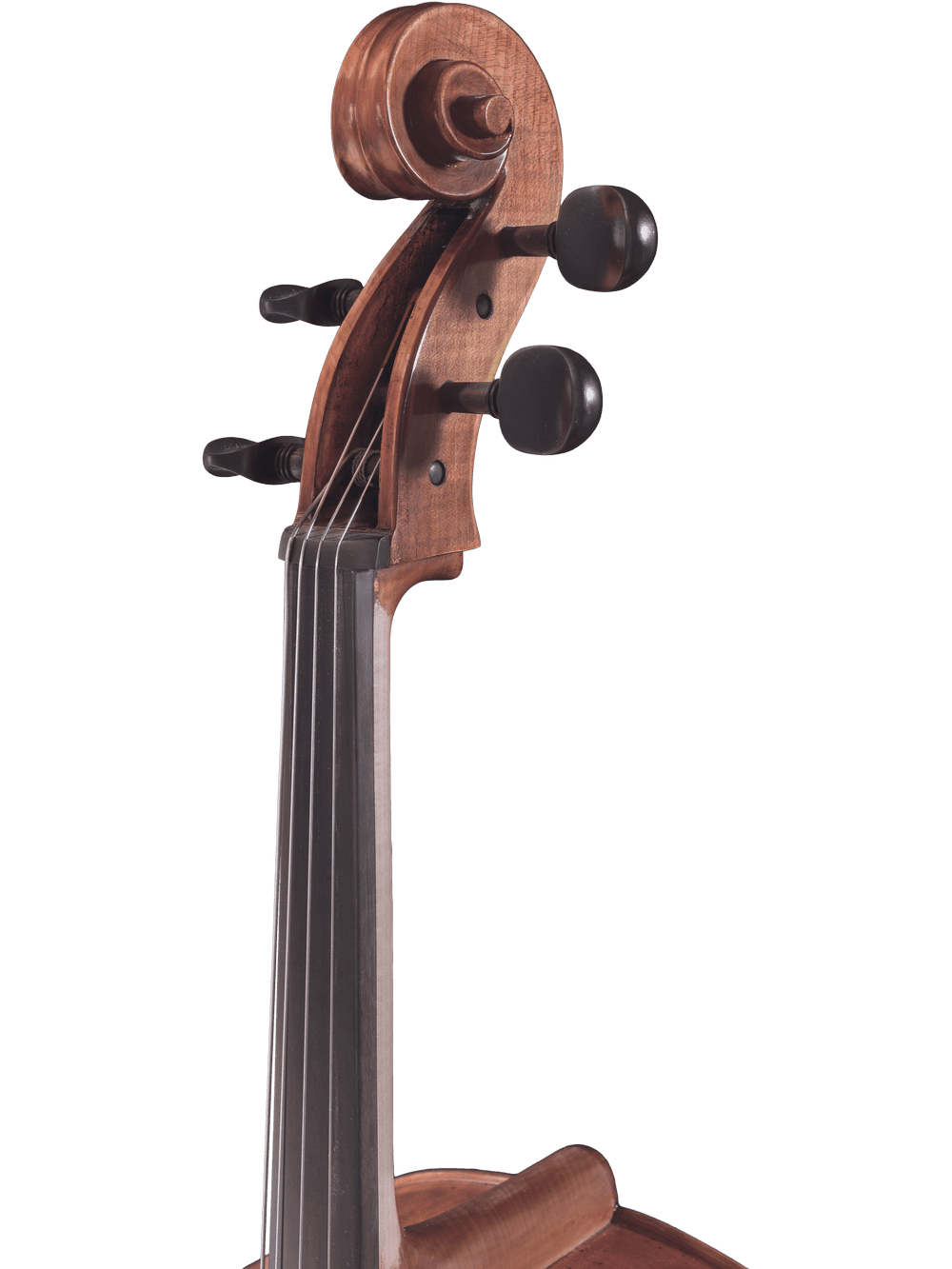 Close-up of a violin scroll, tuning pegs, and upper fingerboard against a white background, reflecting the hand-carved craftsmanship found in the Canzona Caprice 300 Cello Outfit.