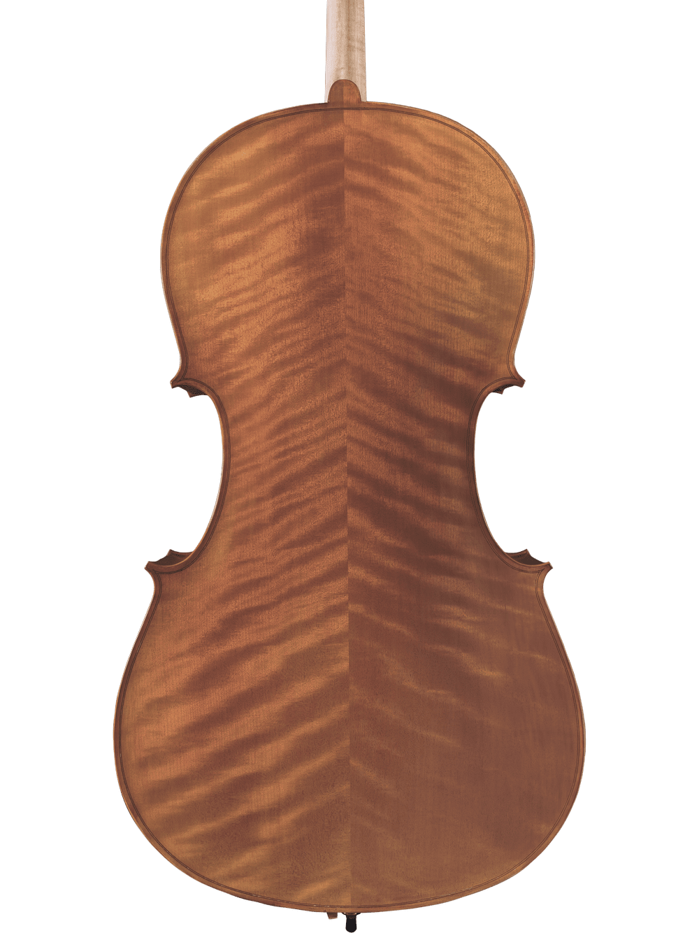 Back view of the Canzona Caprice 300 Cello Outfit, hand-carved with a natural finish and symmetrical wavy wood grain, displayed against a plain white background.