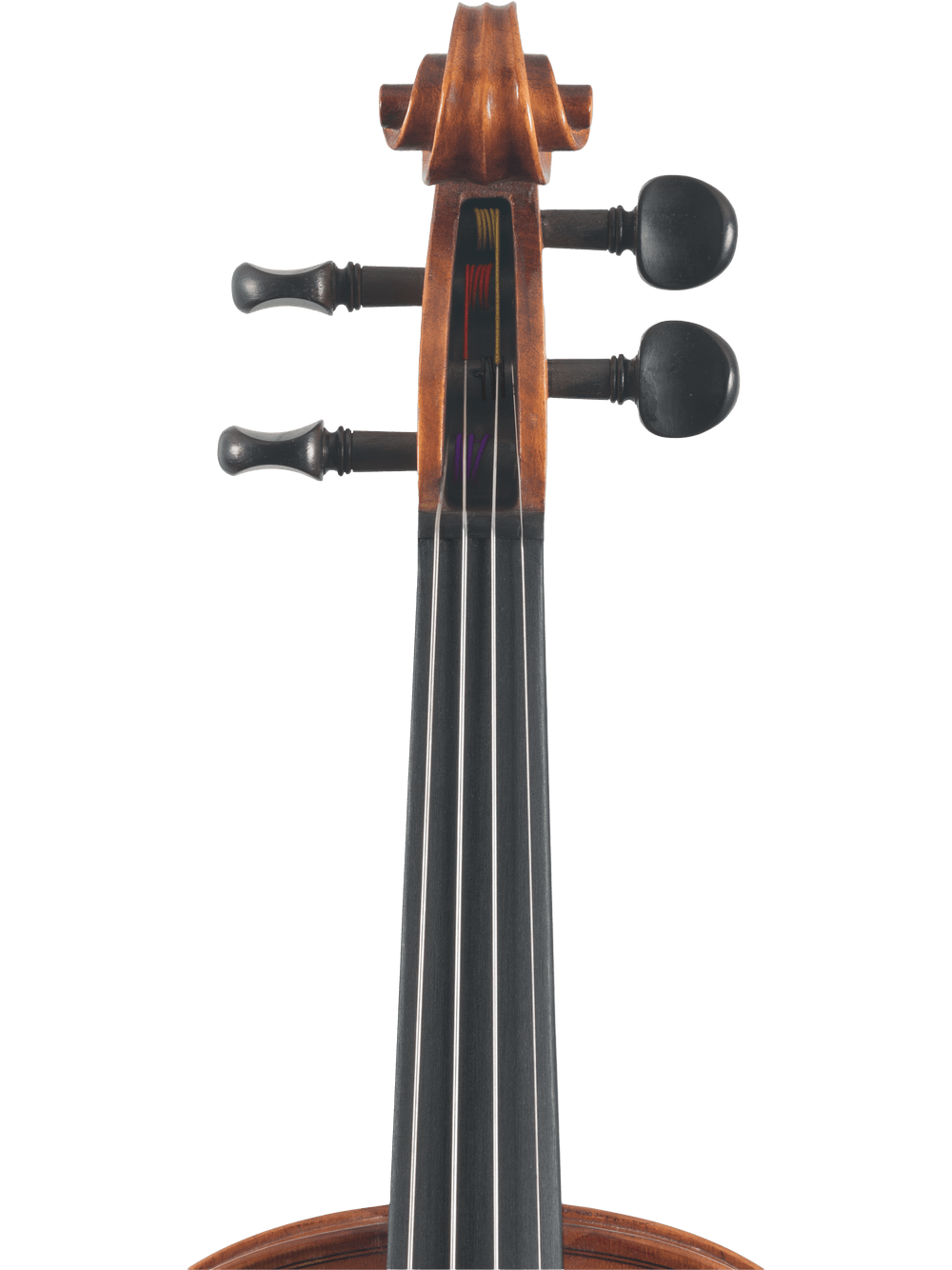 Close-up of the scroll, pegs, and upper fingerboard of the Canzona Caprice 300 Series Intermediate Viola Outfit—hand-carved spruce & maple—designed for advancing students, set against a plain white background.