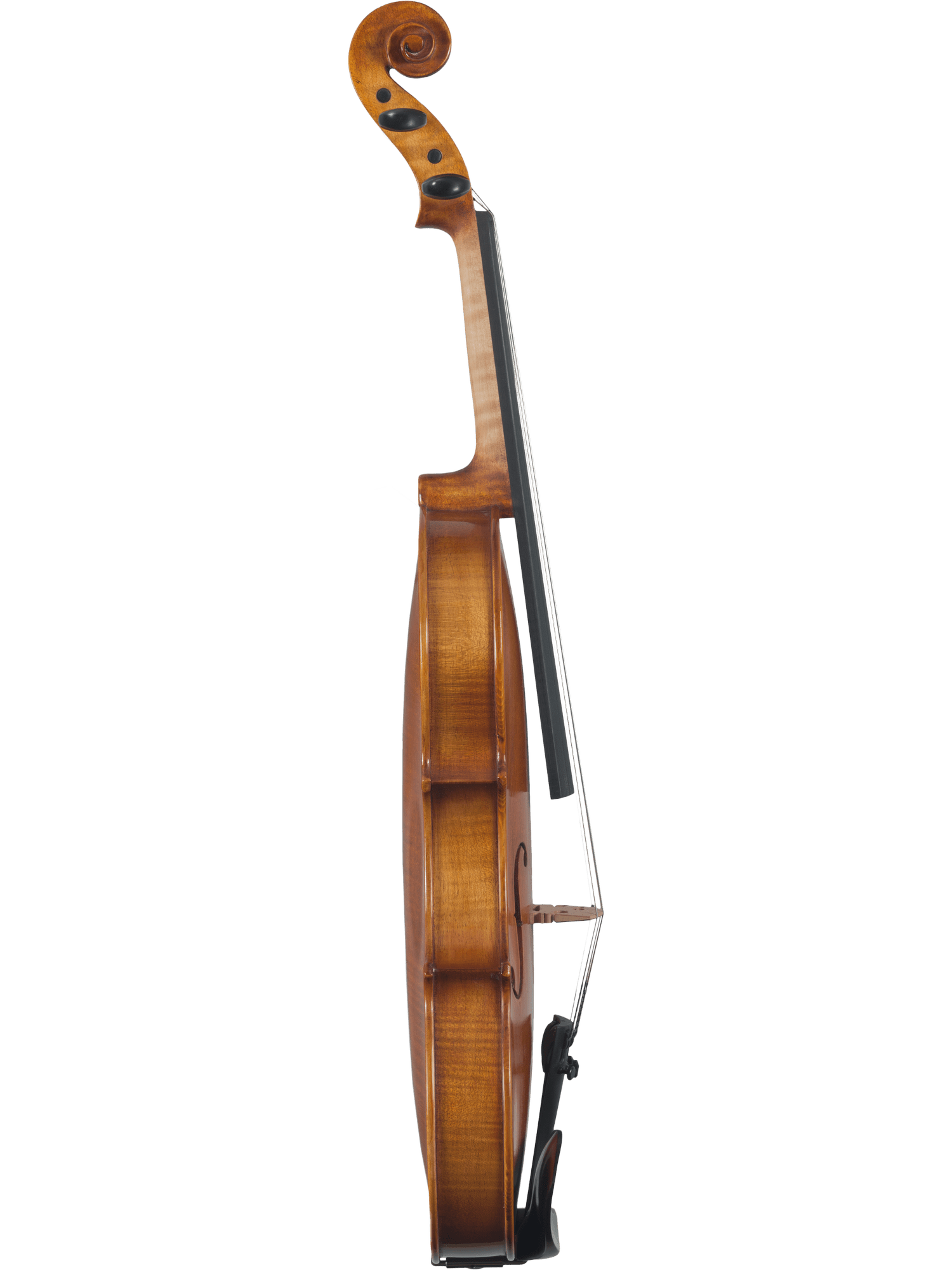 Side view of the Canzona Caprice 300 Series Violin Outfit—hand-carved from spruce and maple—with its curved body, strings, bridge, and tuning pegs shown against a white background; perfect for players seeking an upgraded violin.