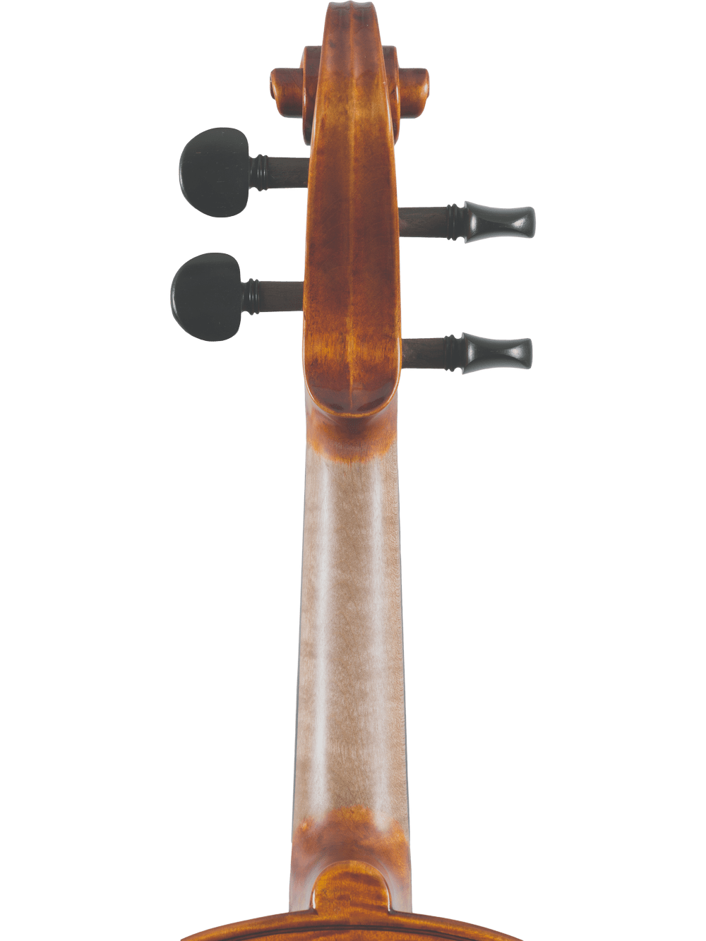 Close-up of the scroll and pegs on the Canzona Francesco Veracini 530 Artist Series Violin – AAA Spruce & Flamed Maple, highlighting the top of the neck and tuning mechanisms against a white background.