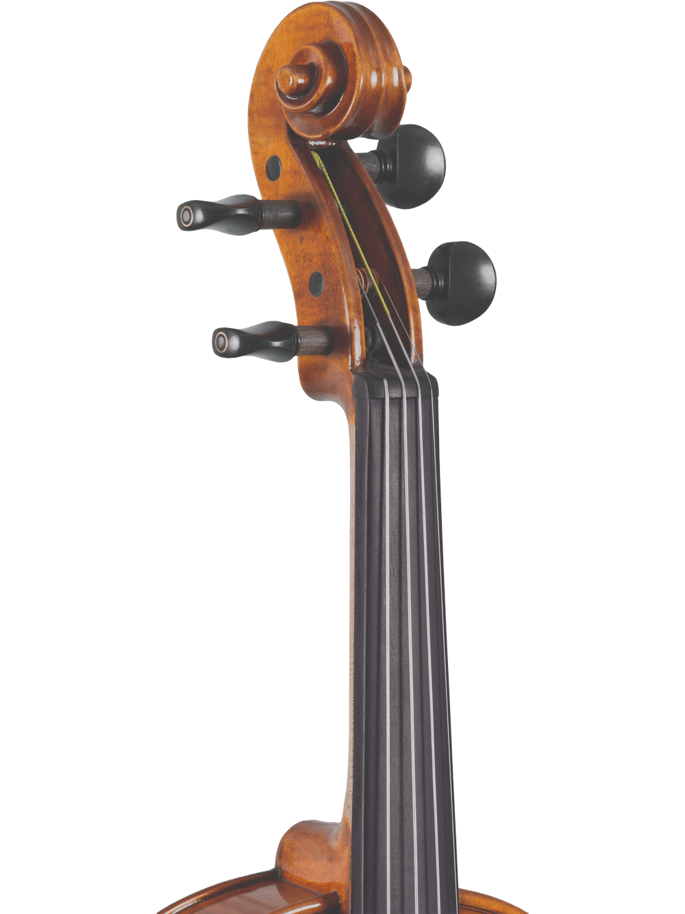 Close-up of the scroll, tuning pegs, and upper neck of the Canzona Francesco Veracini 530 Artist Series Violin – AAA Spruce & Flamed Maple, shown against a plain white background.