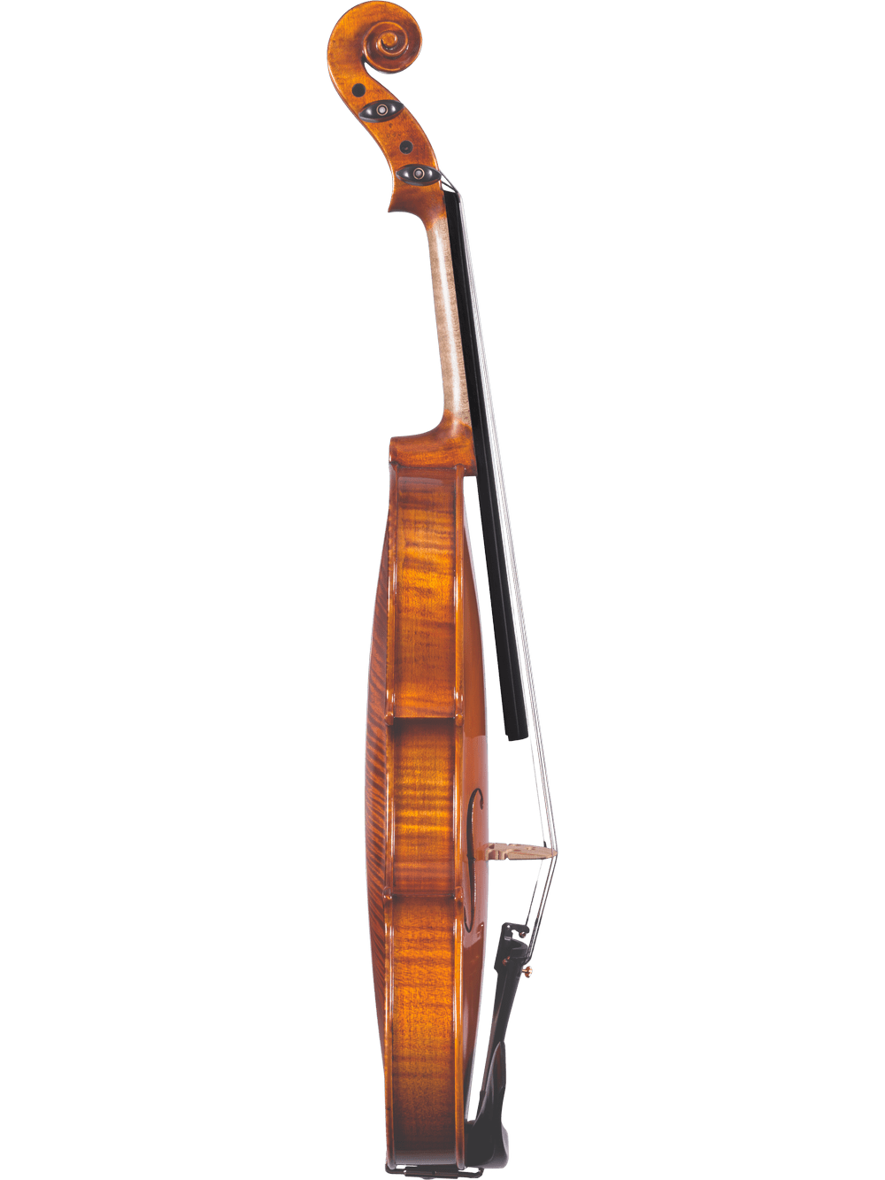 The Canzona Francesco Veracini 530 Artist Series Violin – AAA Spruce & Flamed Maple is displayed from the side, featuring its elegant curves, neck, scroll, strings, and chinrest against a plain white background.