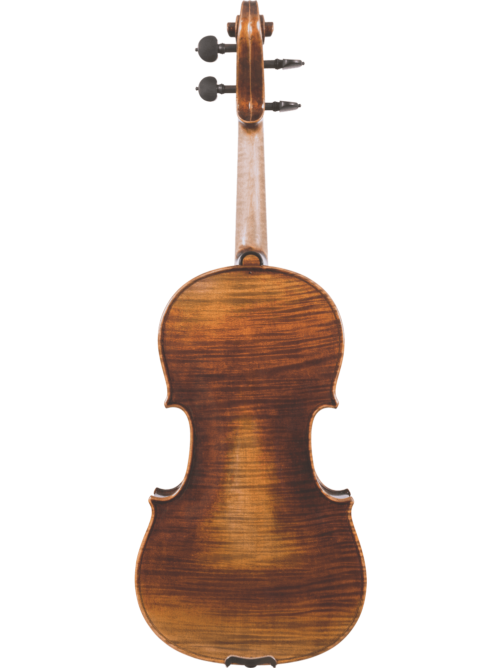 The Canzona Lombardy Violin Outfit is shown from the back, highlighting its rich brown finish, curved shape, and visible wood grain. The neck, pegs, and scroll stand out against a white background.