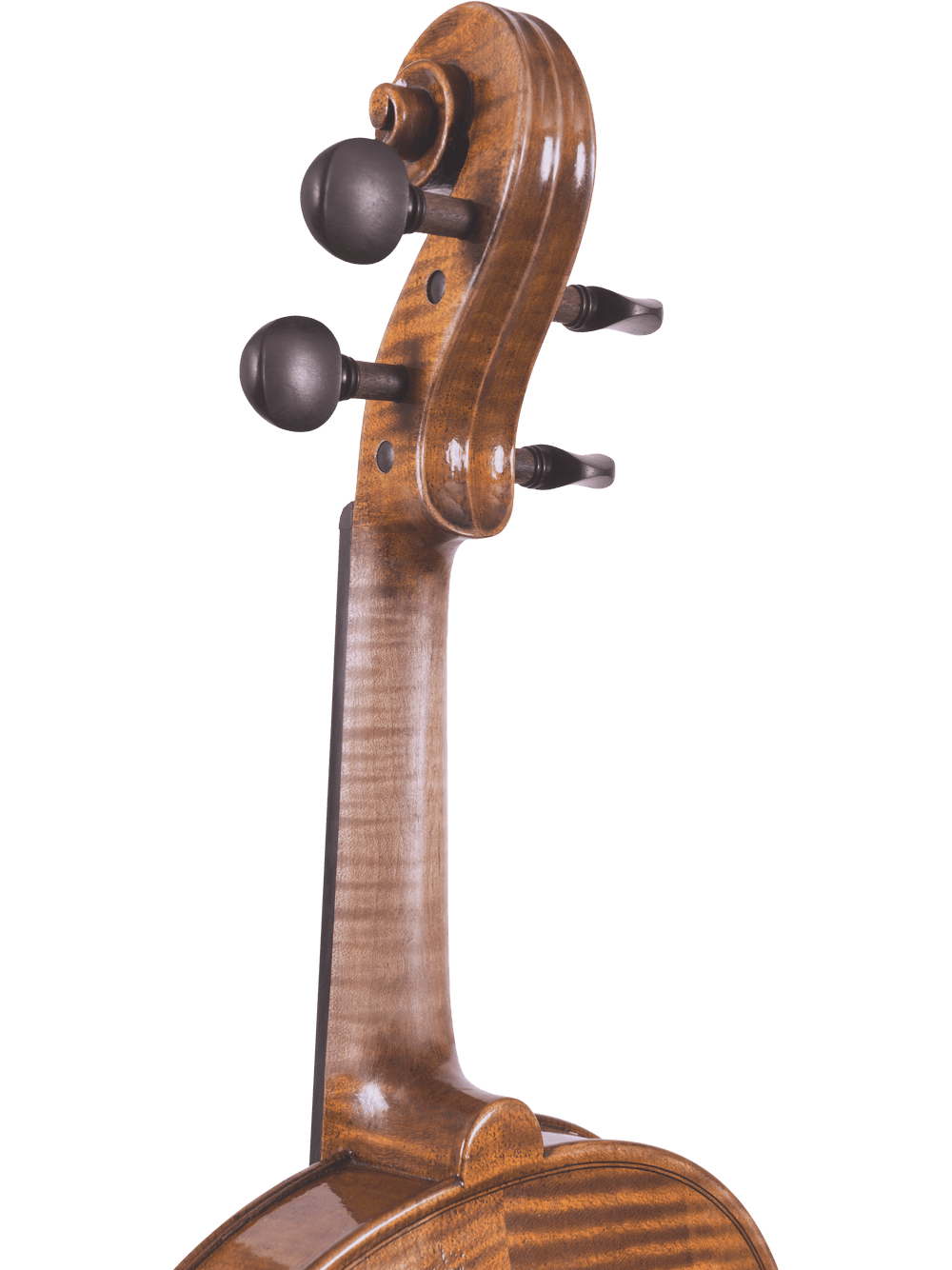 Close-up of the tuning pegs, scroll, and upper neck of the Canzona Lorenzo Intermediate Violin Outfit, showcasing its hand-carved construction and smooth, glossy wood finish with visible grain patterns against a white background.
