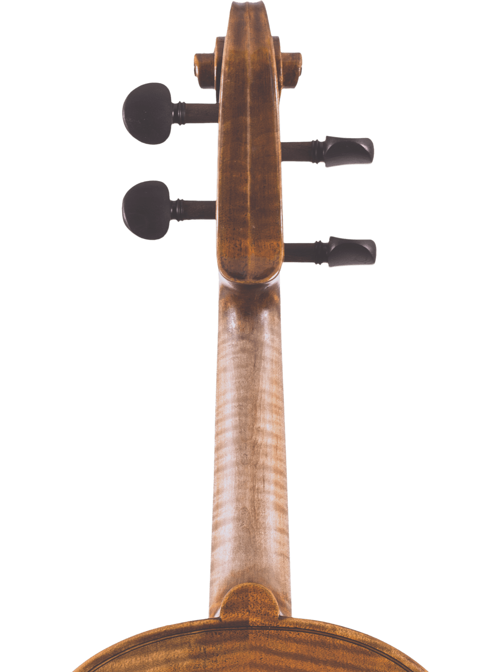 Close-up of the back of a Canzona Lorenzo Intermediate Violin Outfit, highlighting the hand-carved neck, scroll, pegs, and part of the curved wooden body against a plain white background.