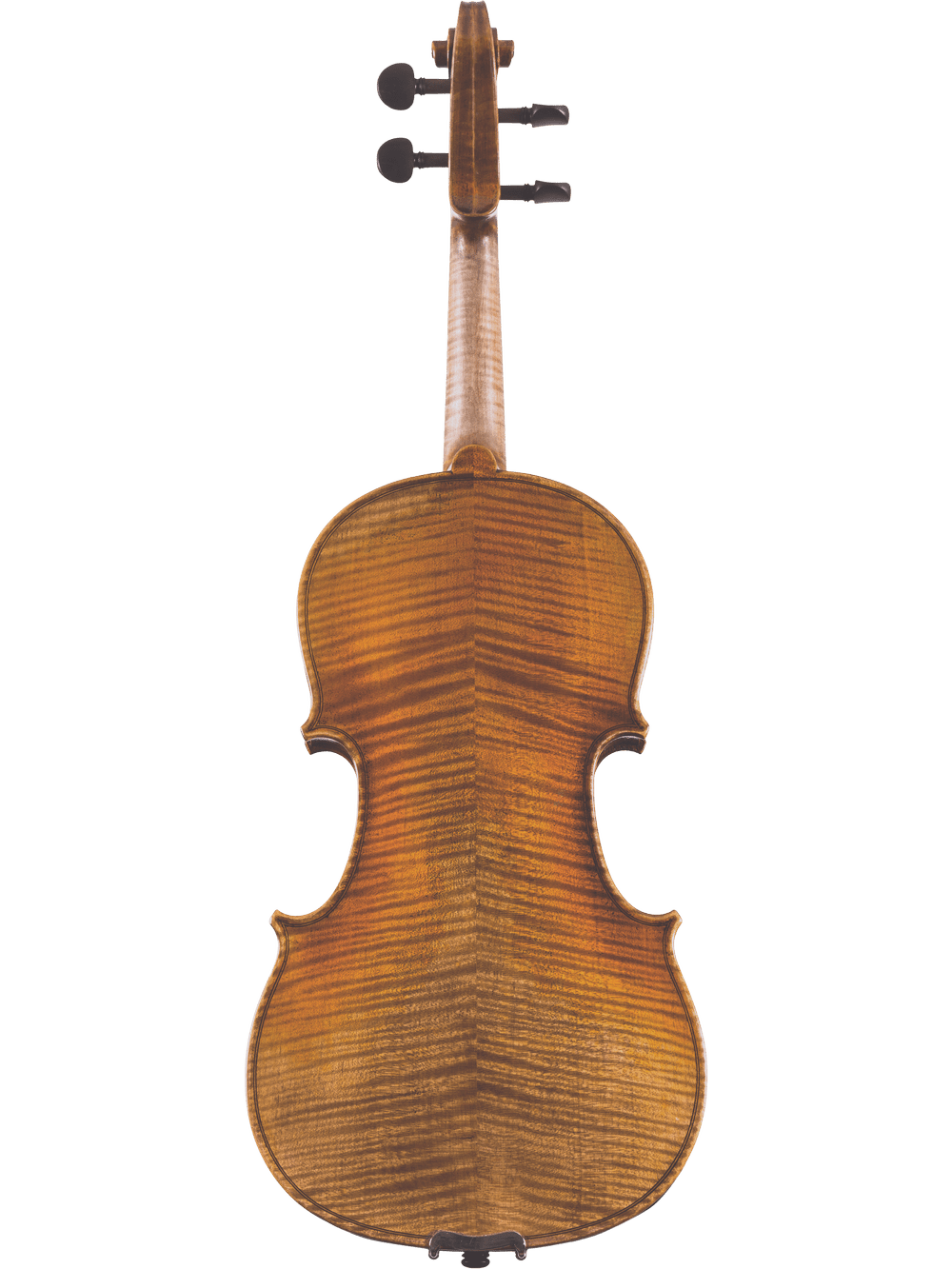 The back of the Canzona Lorenzo Intermediate Violin Outfit displays its curved body, rich wood grain, and flamed pattern. The neck and tuning pegs are visible at the top against a plain white background.