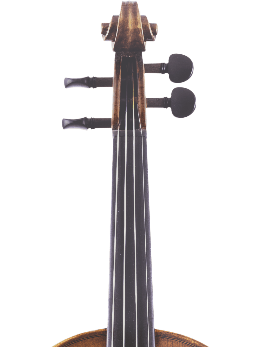 Close-up view of the Canzona Lorenzo Intermediate Violin Outfit’s hand-carved neck, fingerboard, and tuning pegs, photographed vertically against a white background.