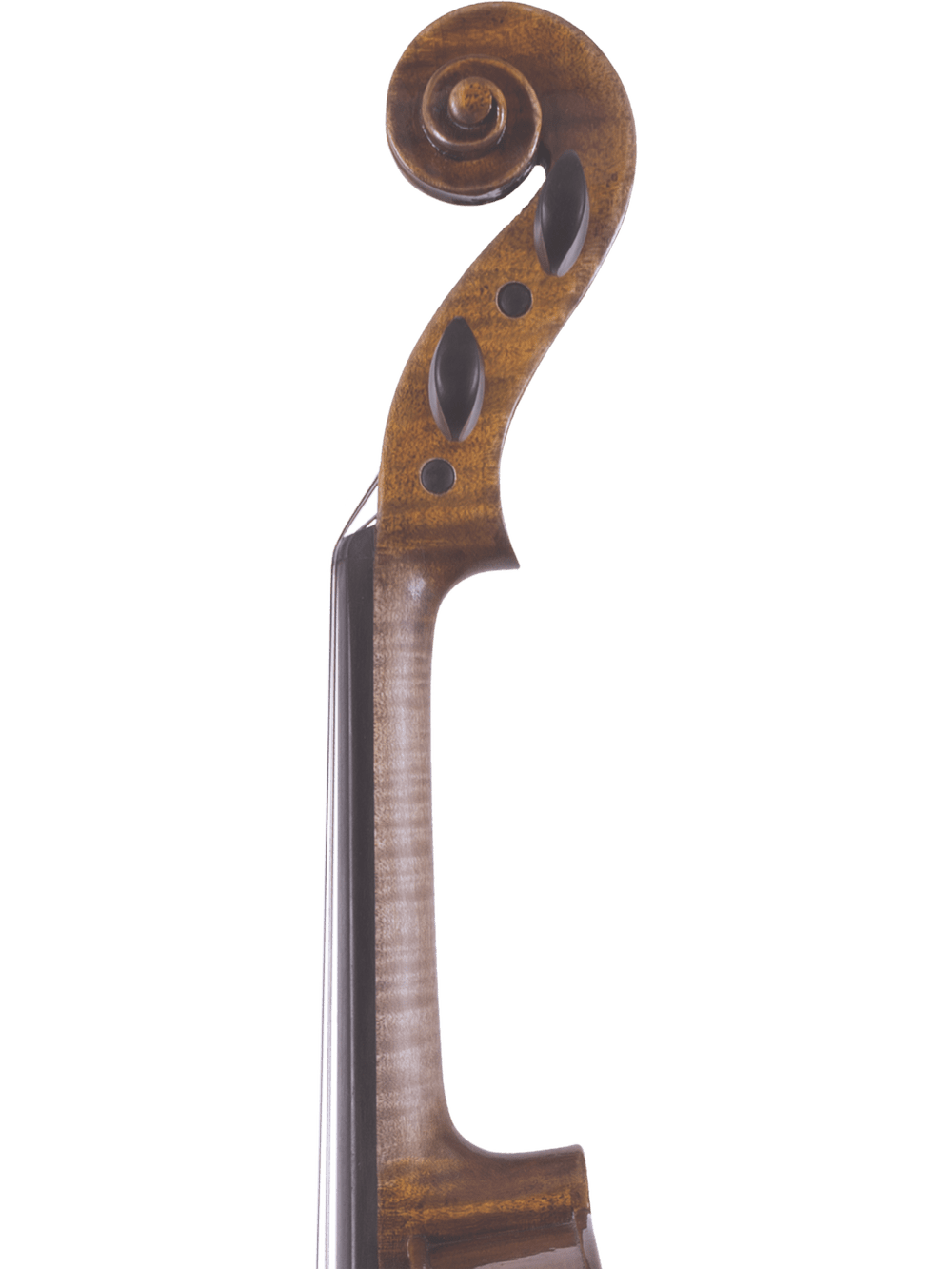 Close-up of the hand-carved scroll and pegbox of the Canzona Lorenzo Intermediate Violin Outfit, highlighting its elegant wooden spiral and tuning pegs—ideal for showcasing this premium instrument against a plain white background.