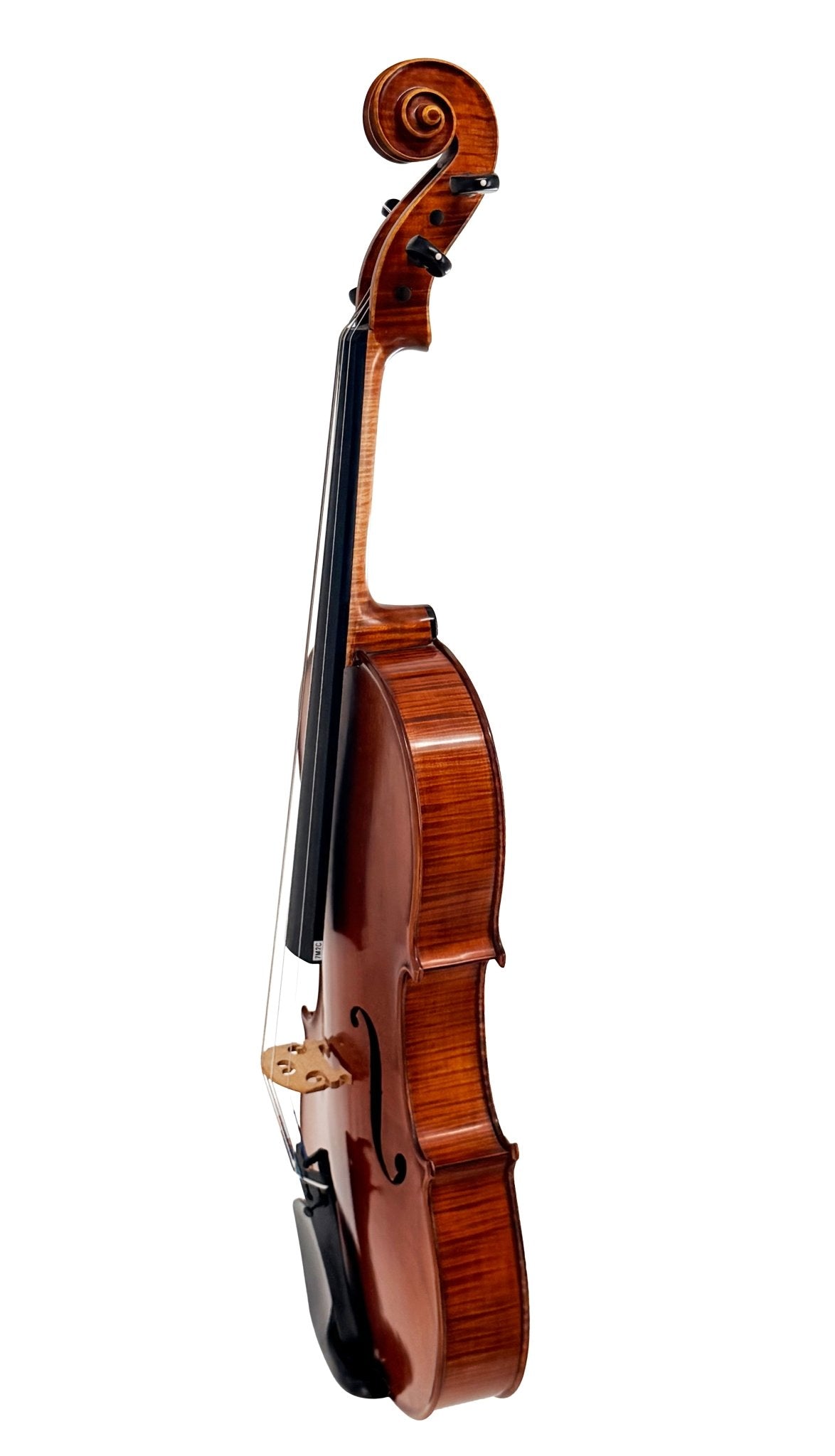 A full-sized Canzona Maestro-Level Viola, Romanian made with flamed maple and bear claw spruce, shown from a side angle to highlight its curved body, strings, bridge, and scroll against a white background.