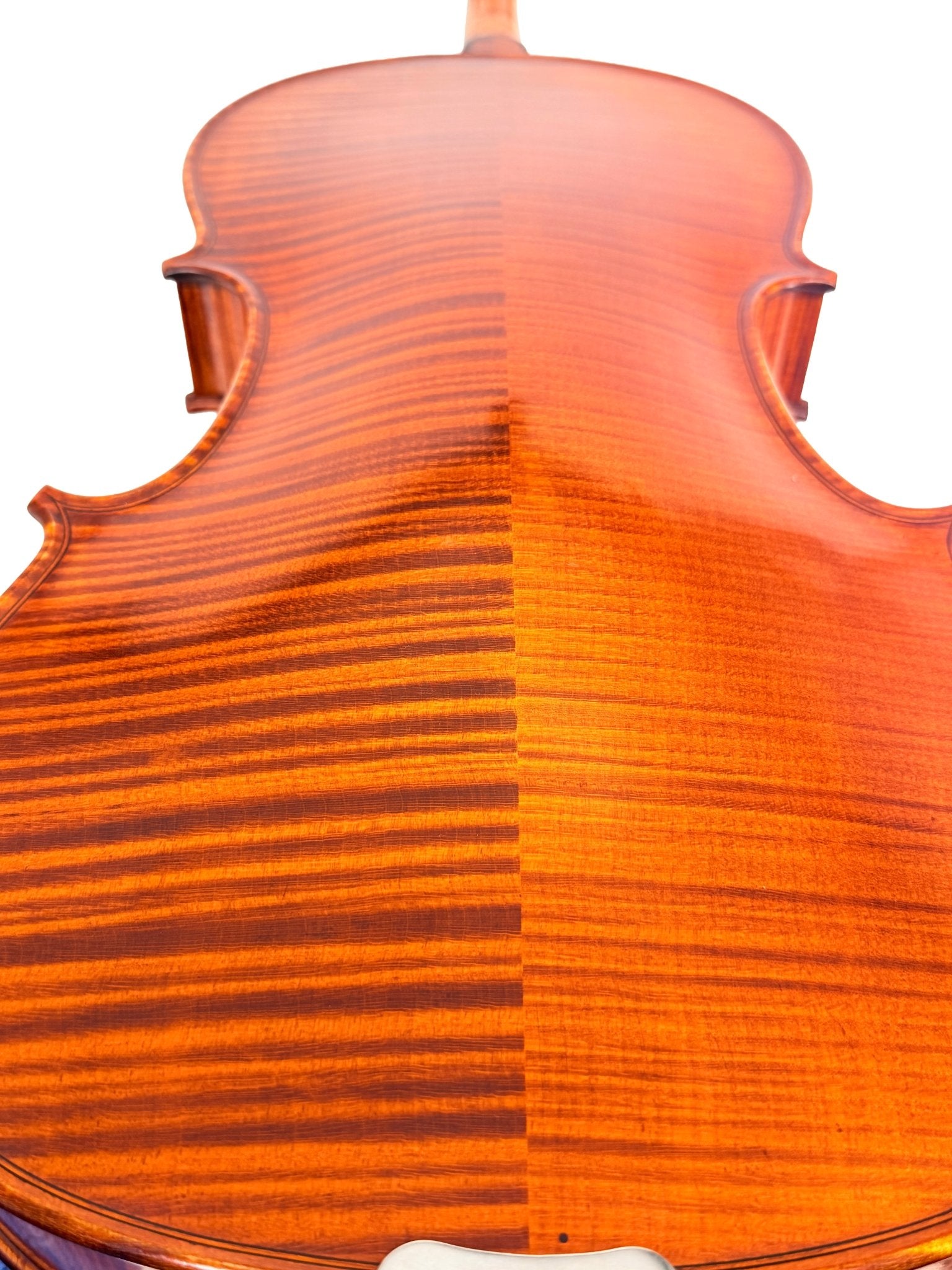 Close-up of the glossy, flamed maple back of the Canzona Maestro-Level Viola – New Old Stock, Romanian made, showcasing detailed grain patterns and a warm reddish-brown finish—expertly crafted from matured tonewoods.