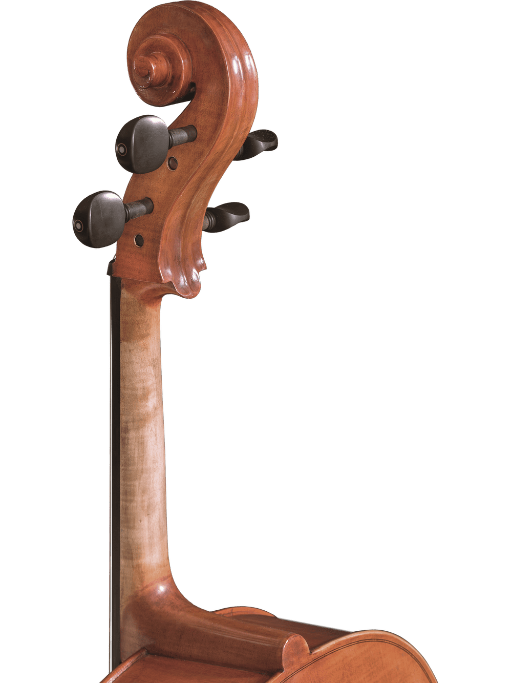 Close-up of the upper neck and scroll of a Canzona Milano 400 Cello Outfit, showing its hand-carved details and tuning pegs against a white background.