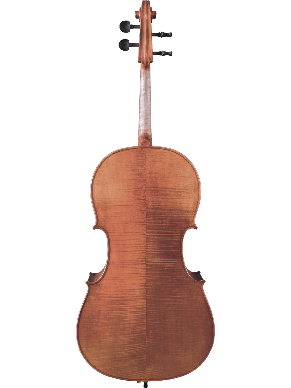 The Canzona Milano 400 Cello Outfit is hand-carved, displayed from the back to highlight its elegant curves and rich wood grain, set against a plain white background.