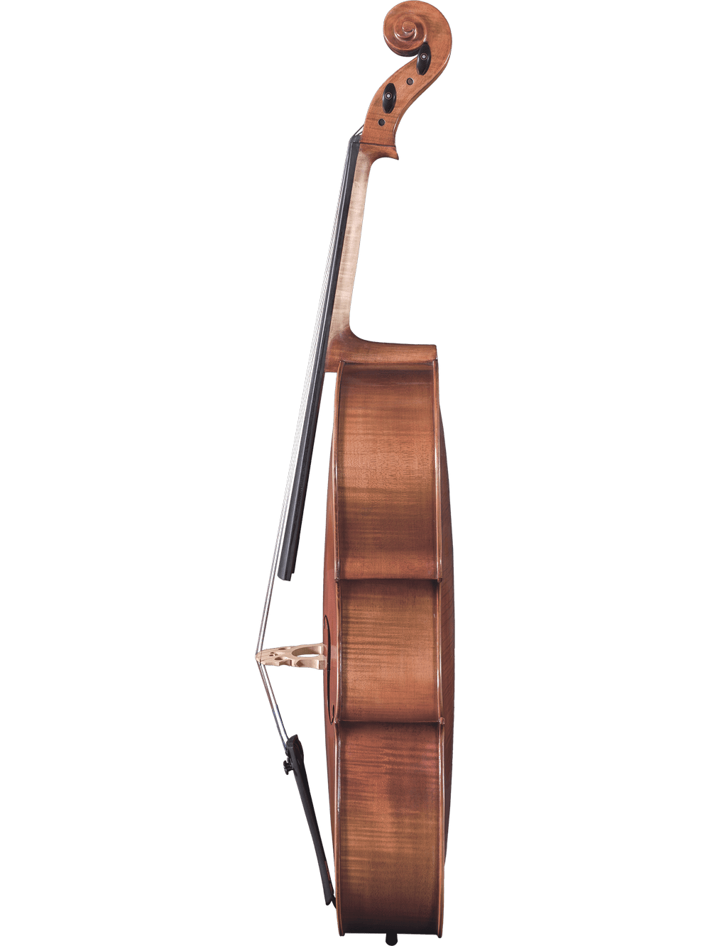 Side view of the Canzona Milano 400 Cello Outfit, highlighting its curved body, strings, and scroll against a white background.