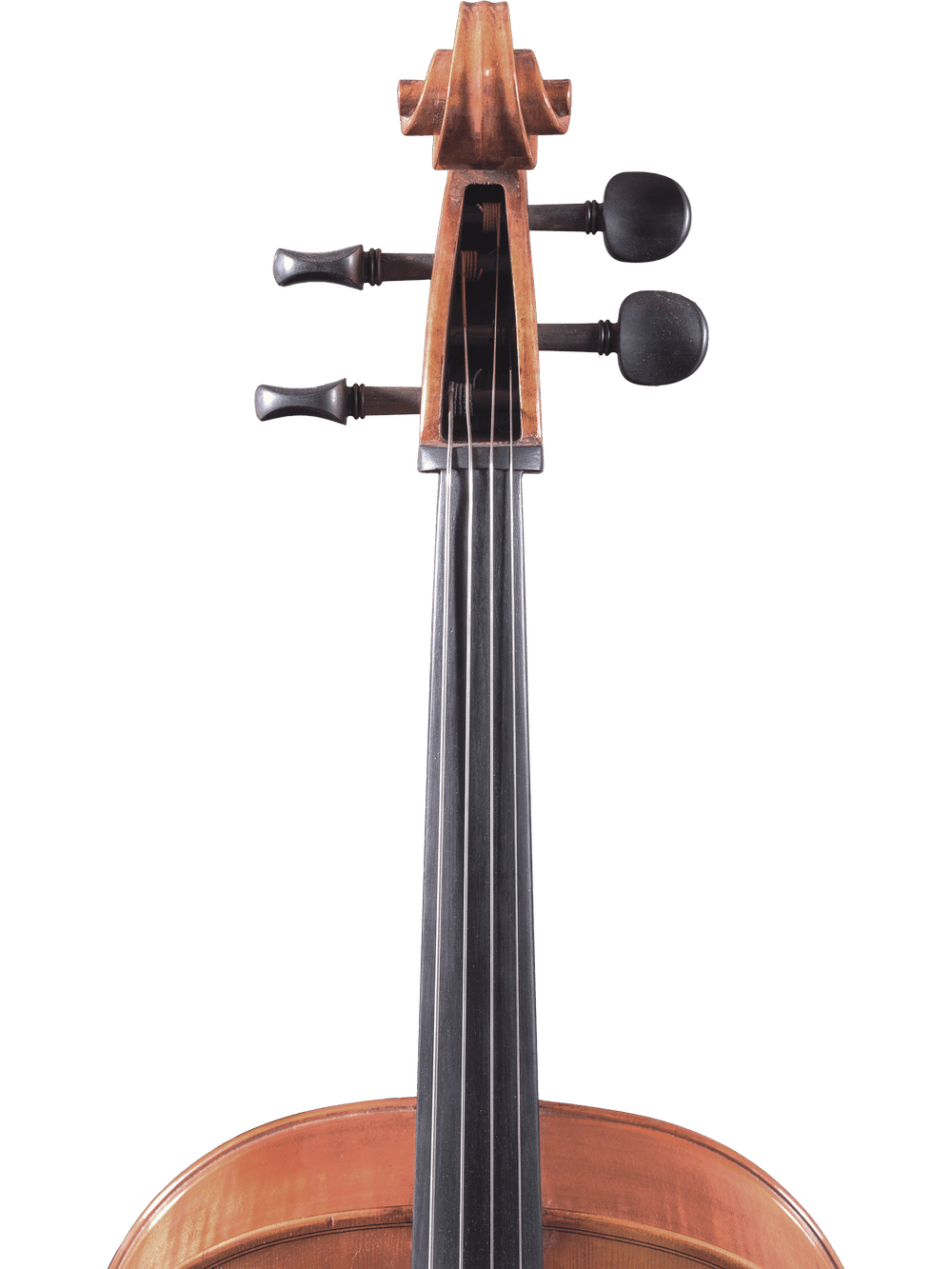 Close-up of the upper section of the Canzona Milano 400 Cello Outfit, showing the scroll, tuning pegs, fingerboard, and part of the body against a plain white background.
