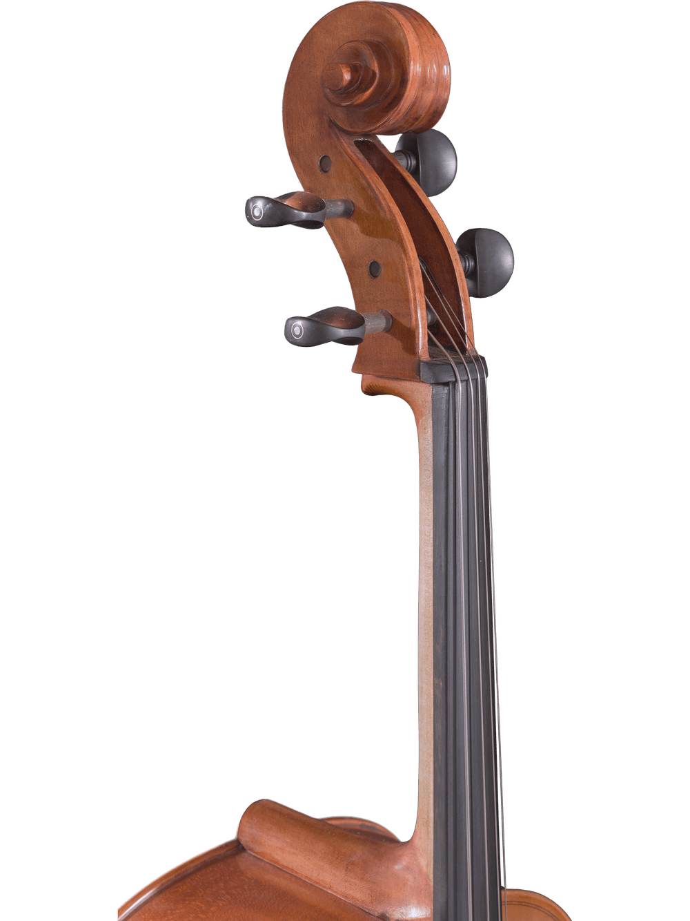 Close-up of the neck and scroll of a hand-carved Canzona Milano 400 Cello Outfit, showing tuning pegs, fingerboard, and part of the body against a plain white background.