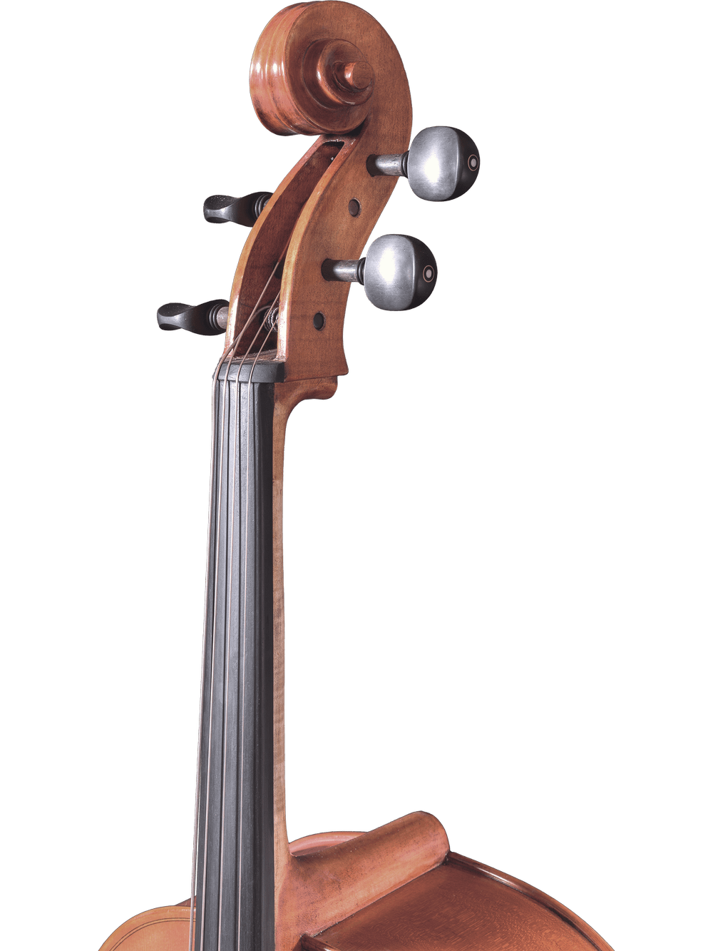 Close-up of the scroll, tuning pegs, and upper fingerboard of a hand-carved Canzona Milano 400 Cello Outfit set against a plain white background.