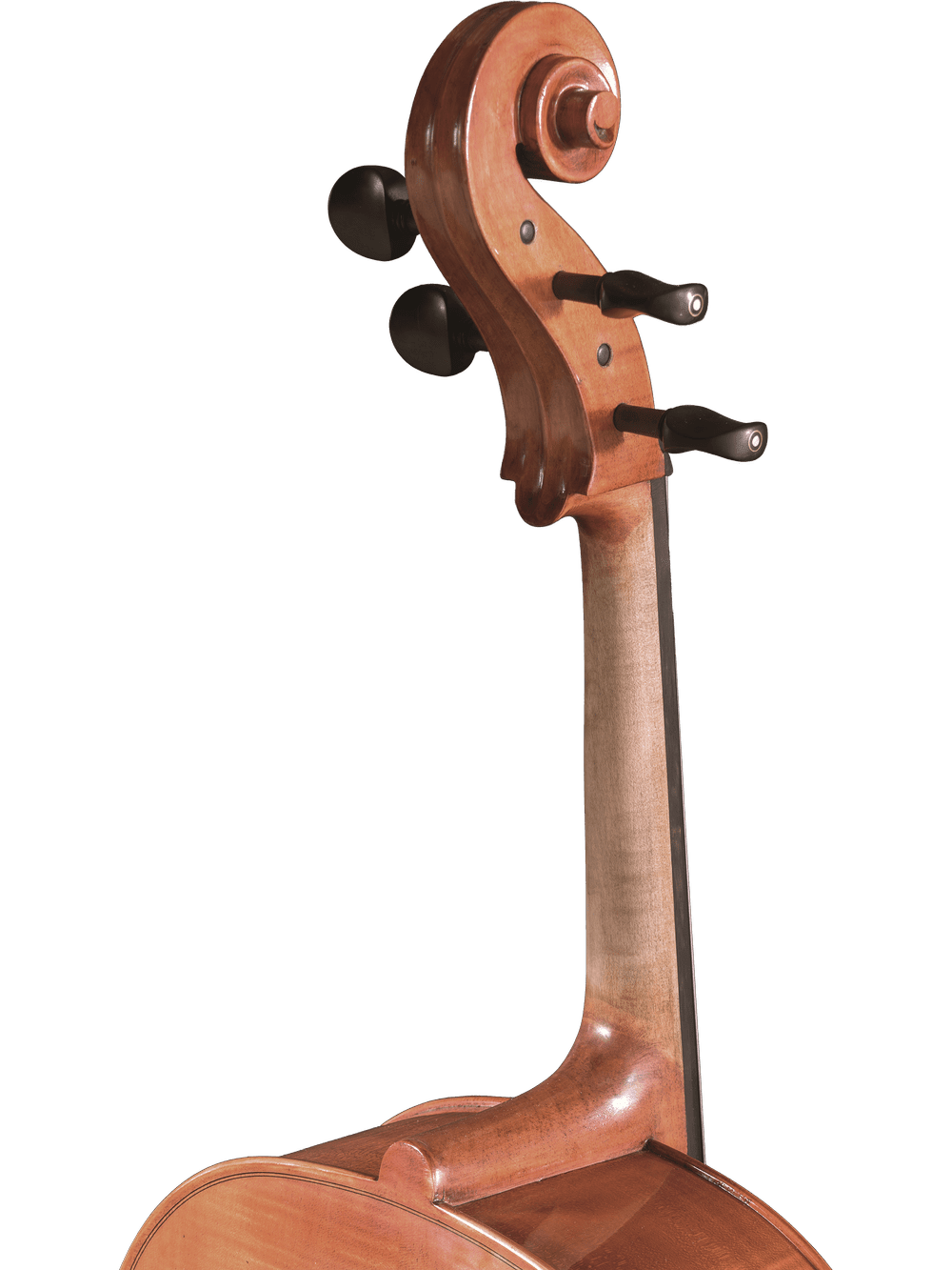 Close-up of the scroll and pegs of a hand-carved Canzona Milano 400 Cello Outfit, highlighting its smooth, polished wood and fine craftsmanship against a plain white background.
