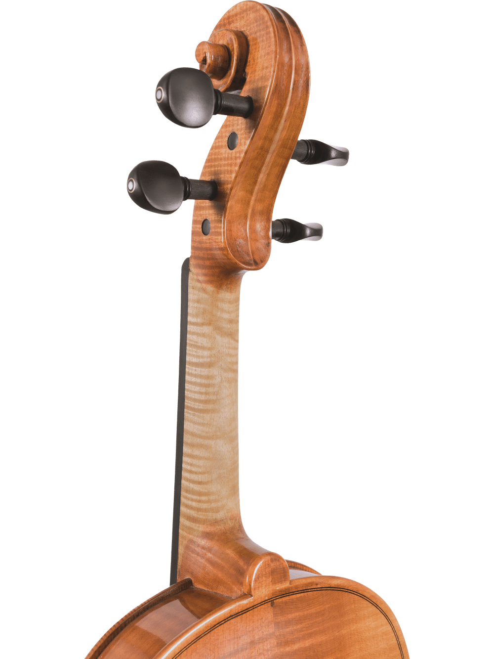 Close-up of the scroll and tuning pegs of a hand-carved Canzona Milano 400 Series Viola Outfit, featuring a smooth polished finish and visible wood grain against a white background.
