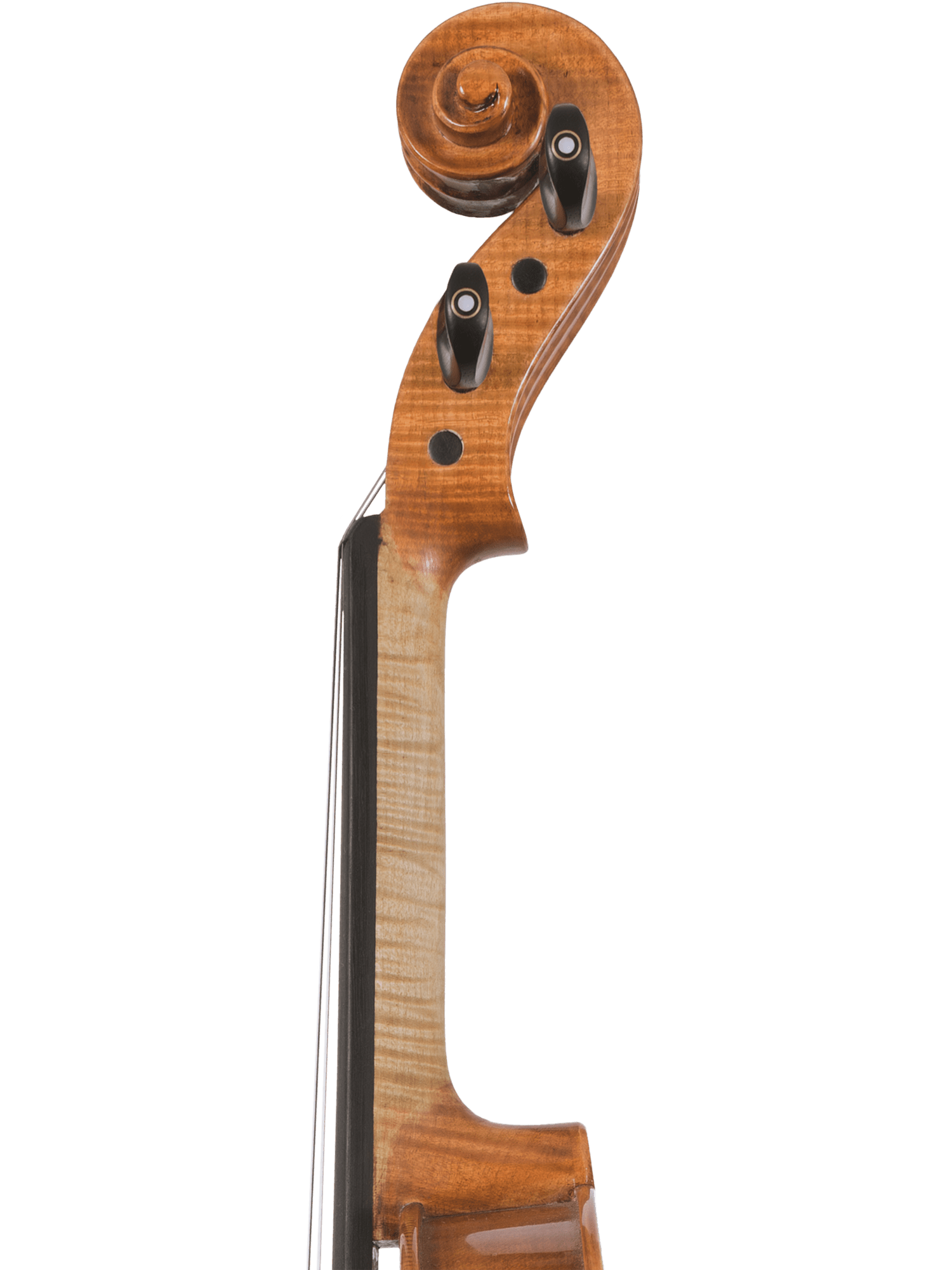 Close-up of a hand-carved scroll and pegbox, with tuning pegs and curled wood at the top of the Canzona Milano Violin Outfit, set against a plain white background.