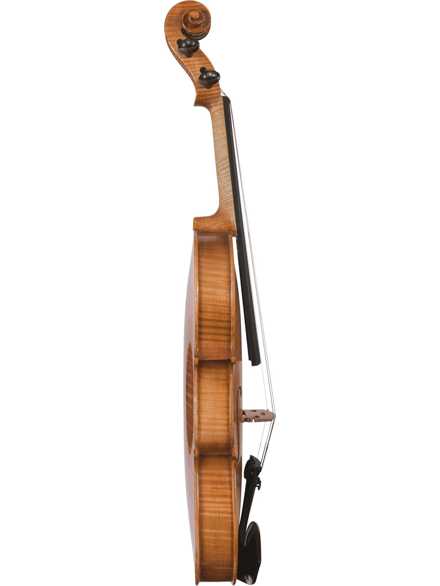 Side view of the Canzona Milano Violin Outfit, highlighting its curved body, strings, scroll, and tailpiece against a plain white background.