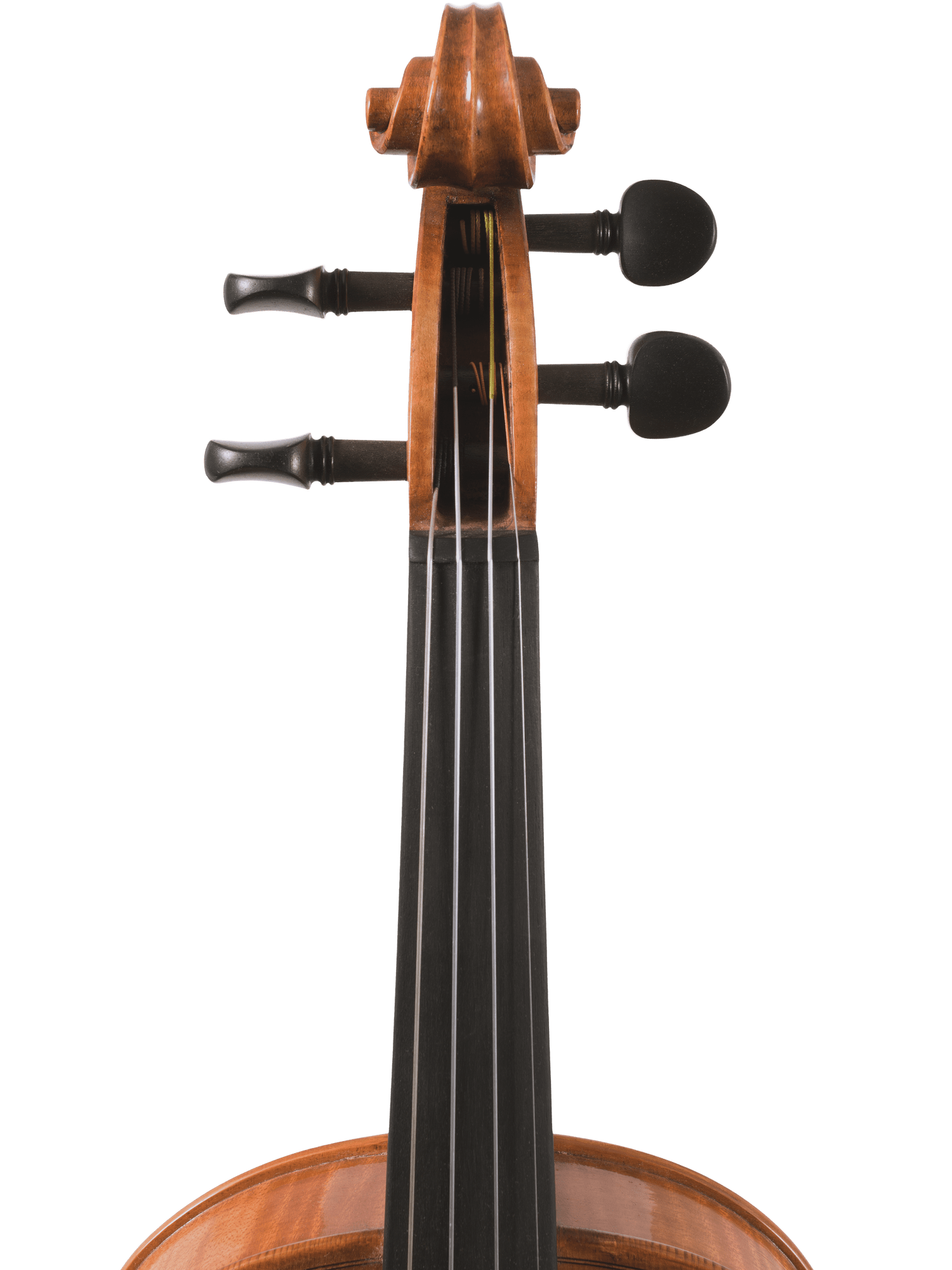 Close-up of the upper part of the hand-carved Canzona Milano Violin Outfit, showing its scroll, tuning pegs, and top fingerboard section against a white background.