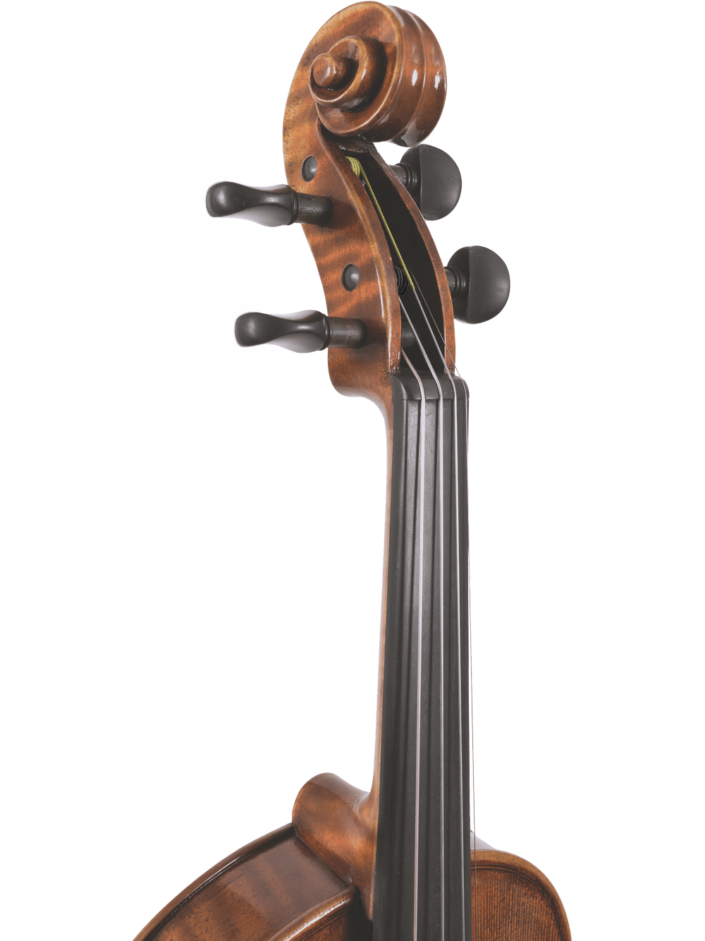 Close-up of the scroll and tuning pegs on the Canzona Pietro Locatelli Violin Outfit, hand-carved with visible strings and partial fingerboard, shown against a plain white background.
