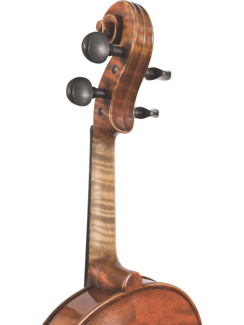 Close-up of the scroll and pegbox of the Canzona Pietro Locatelli Violin Outfit, highlighting its tuning pegs and neck top against a white background.