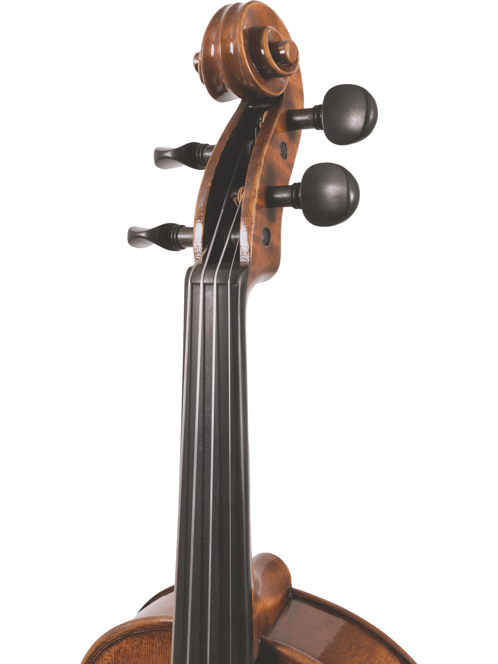 Close-up of the upper part of the Canzona Pietro Locatelli Violin Outfit, highlighting its hand-carved scroll, tuning pegs, and fingerboard against a plain white background.