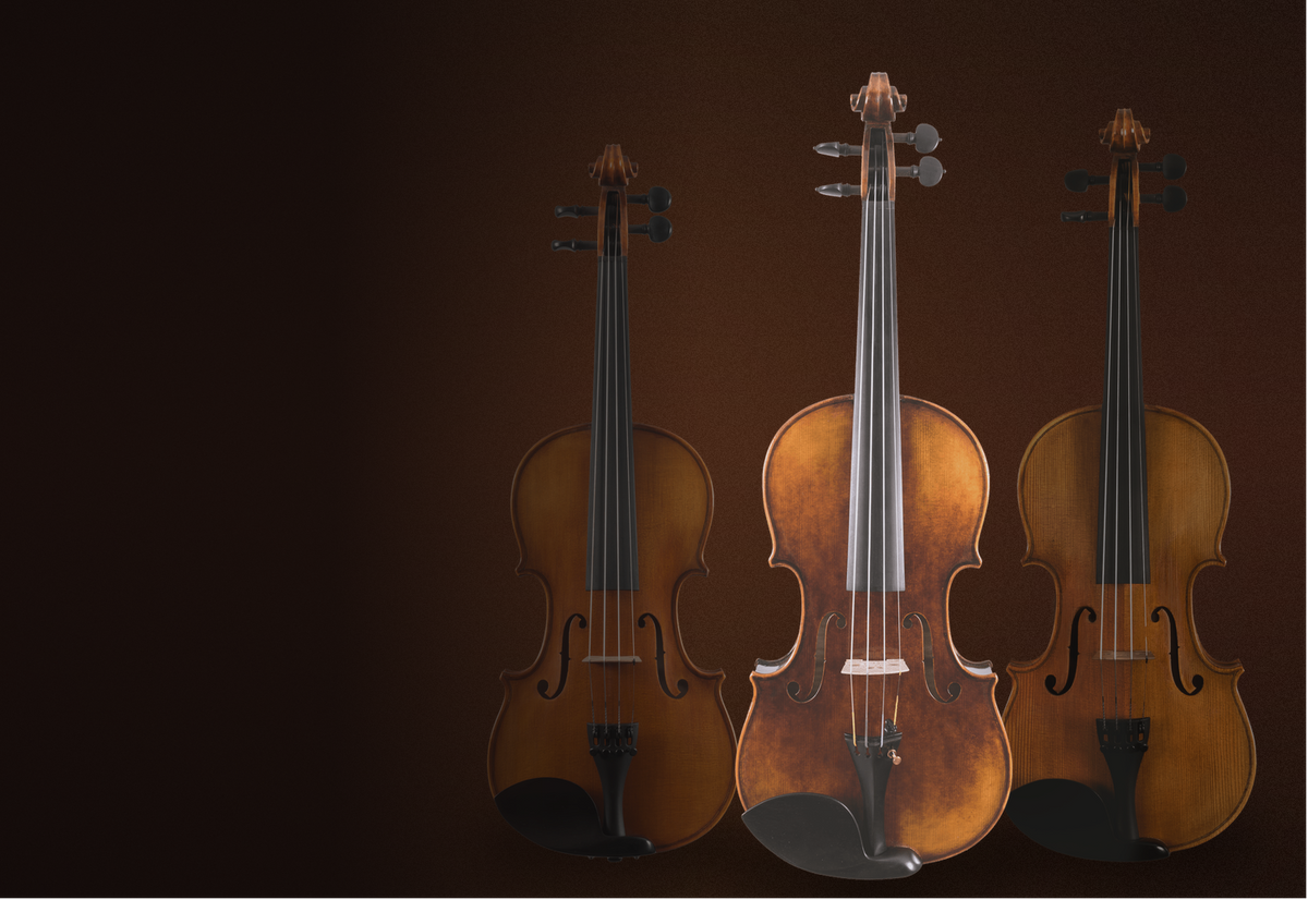 Canzona Violins, quality instruments to improve your sound and playability!