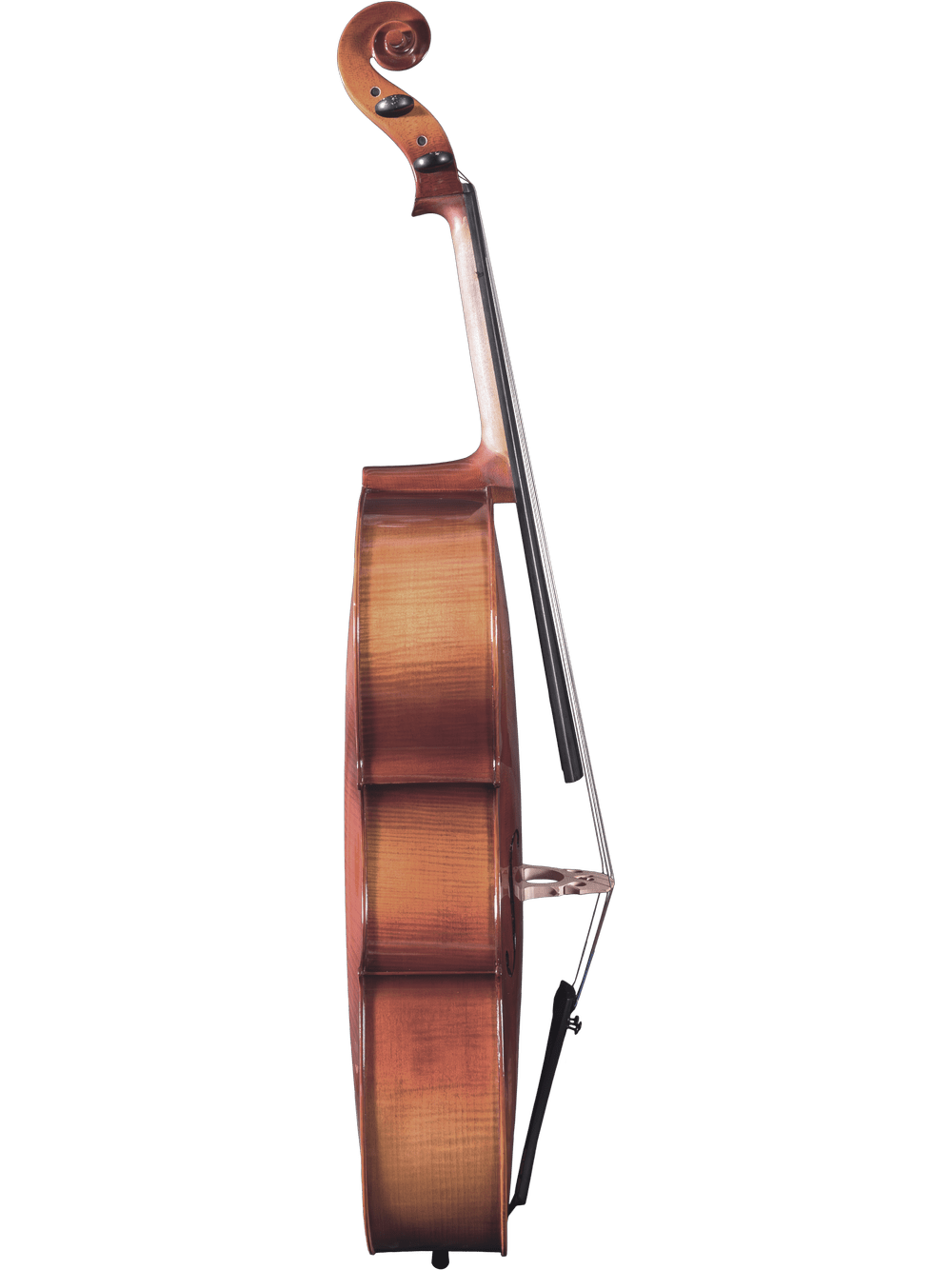 Side view of the Canzona Sonata 200 Cello Outfit standing upright on a white background, displaying its curved body, neck, and scroll—an excellent step-up instrument for advancing students.