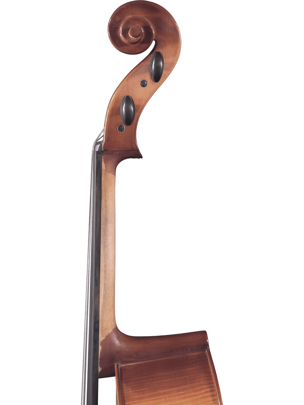 Close-up of the scroll, tuning pegs, and upper neck of the Canzona Sonata 200 Cello Outfit—an ideal step-up instrument for advancing students—set against a plain white background.