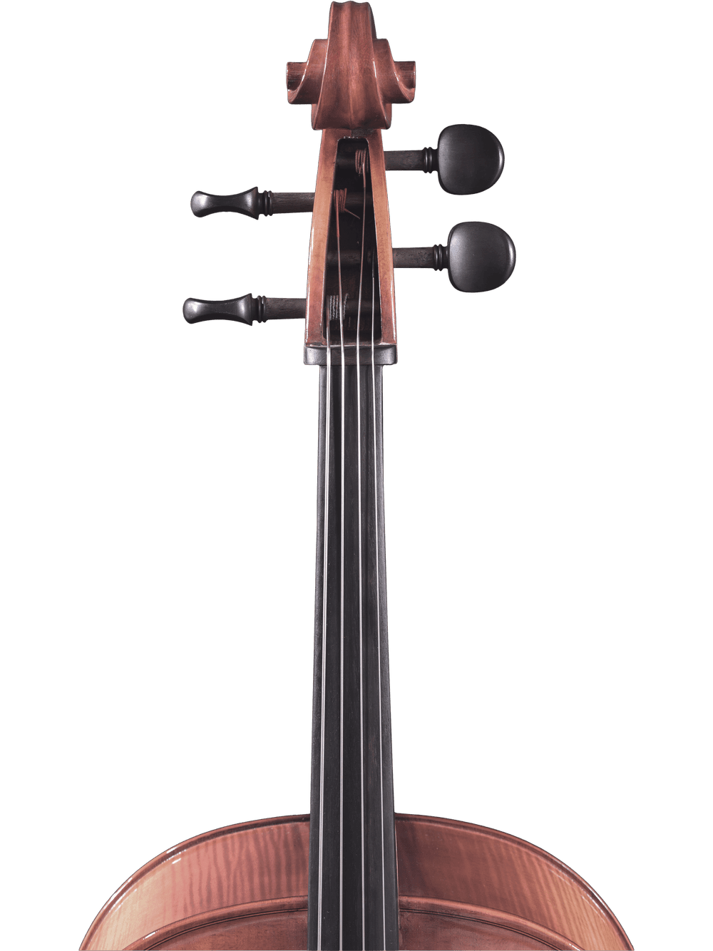 Close-up of the Canzona Sonata 200 Cello Outfit, a quality step-up instrument for advancing students, showing its scroll, tuning pegs, fingerboard, and part of the body against a white background.