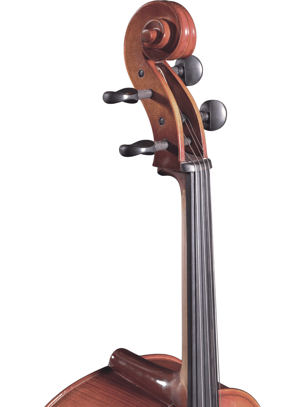 Close-up of the scroll, pegs, and upper fingerboard of a Canzona Sonata 200 Cello Outfit—a quality step-up instrument for advancing students—set against a plain white background.