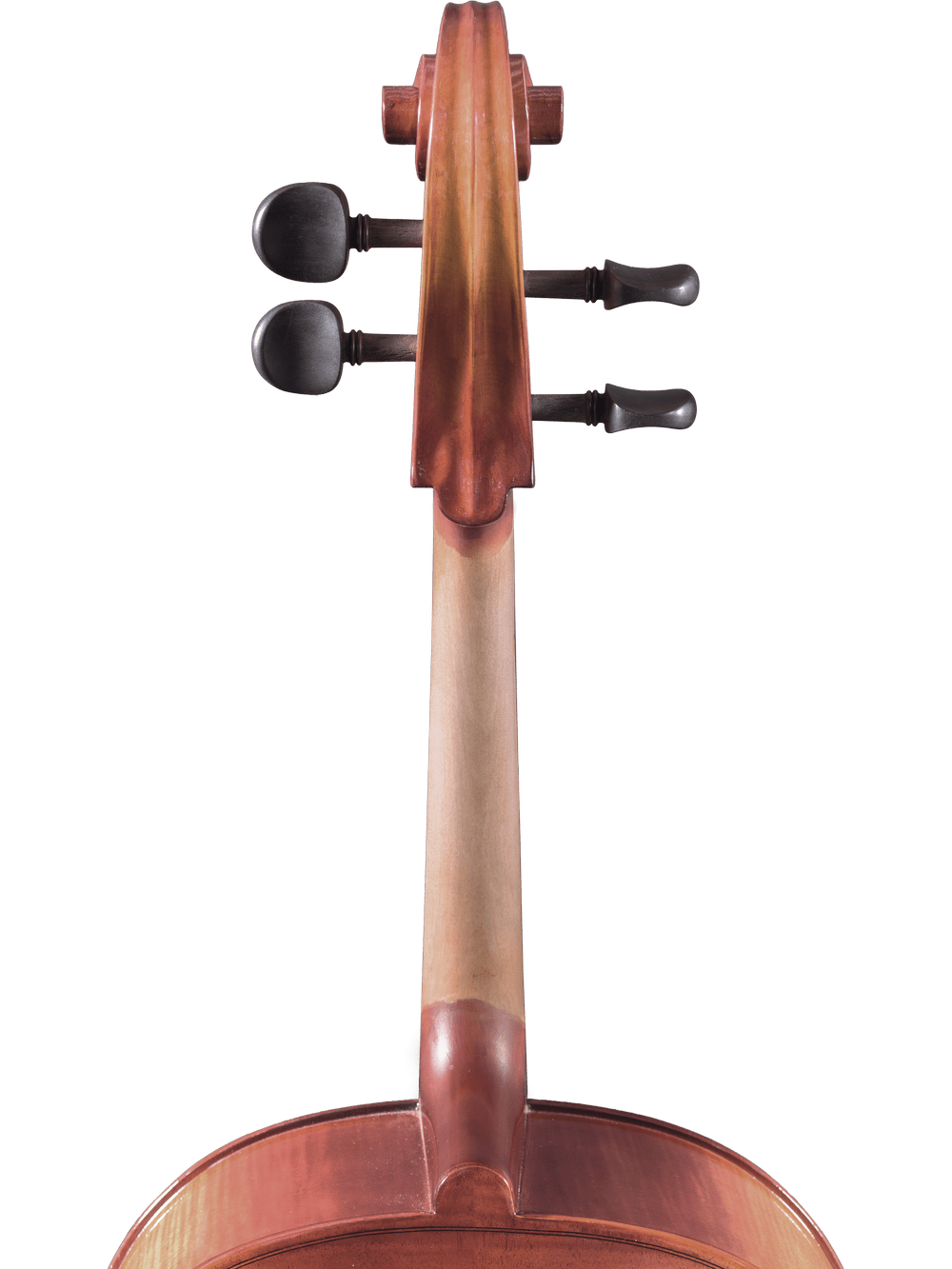 Close-up of the Canzona Sonata 200 Cello Outfit’s neck and scroll, highlighting two tuning pegs and part of its wooden body—a perfect step-up cello for advancing students—set against a white background.