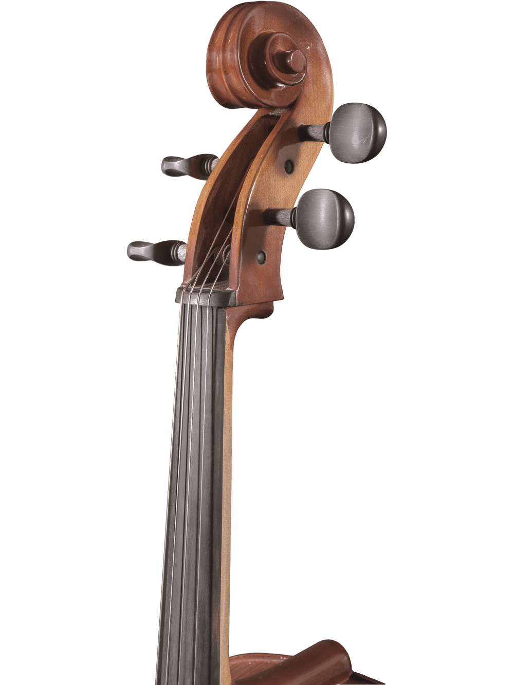 Close-up of the scroll, tuning pegs, and fingerboard of the Canzona Sonata 200 Cello Outfit, a quality step-up instrument for advancing students, shown against a white background.