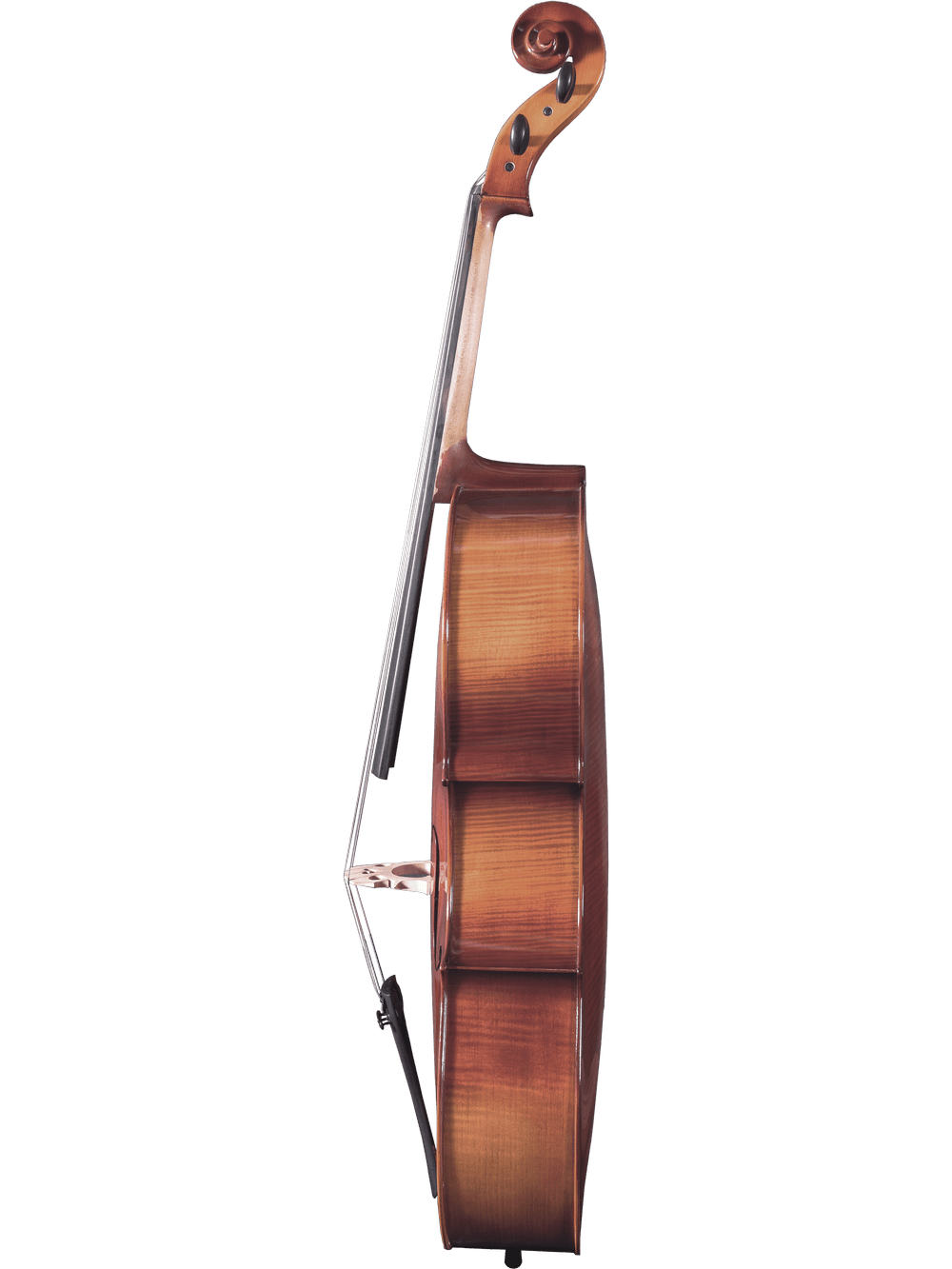 Side view of a Canzona Sonata 200 Cello Outfit against a white background, displaying its curved body, neck, and pegbox—an excellent step-up instrument for advancing students, with strings and bridge clearly visible.