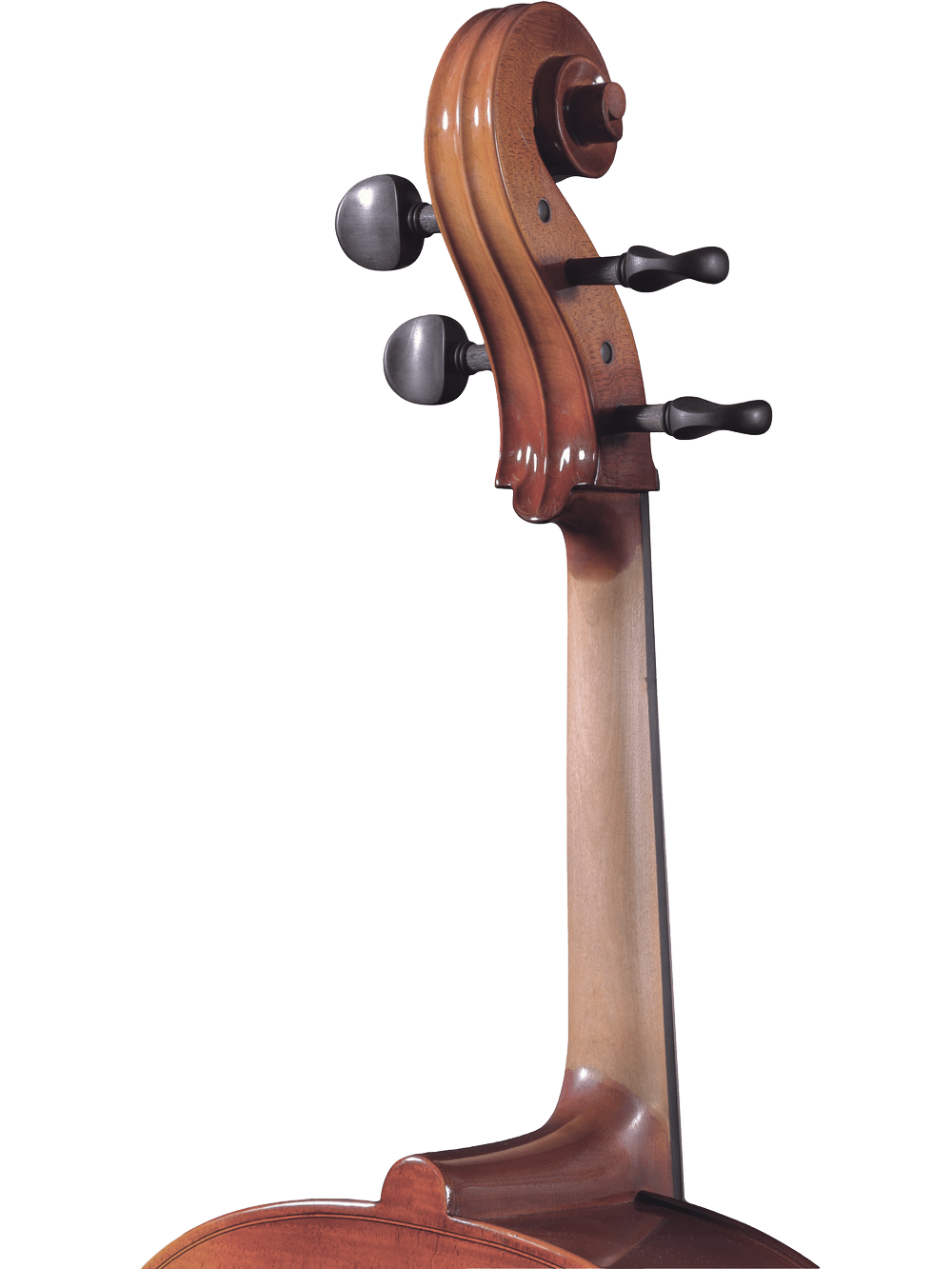 Close-up of the upper neck and scroll of a Canzona Sonata 200 Cello Outfit, an ideal step-up instrument for advancing students, with tuning pegs shown against a plain white background.