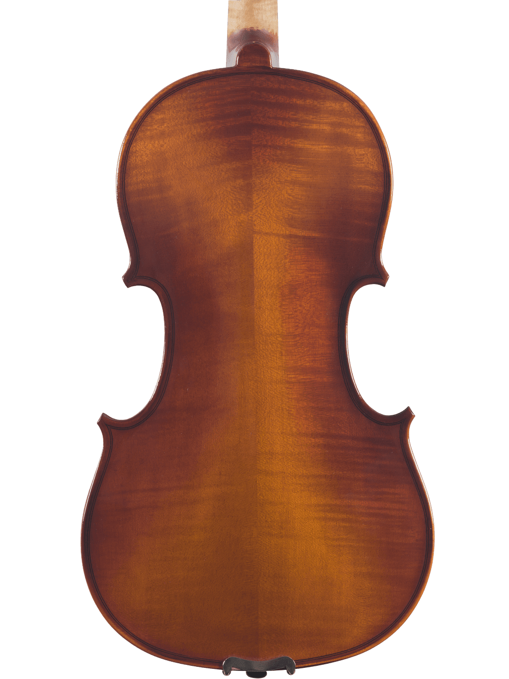 The Canzona Sonata 200 Series Student Viola Outfit features a smooth, glossy brown and amber back, emphasizing the hand-carved spruce and maple wood grain and elegant curves against a white background.