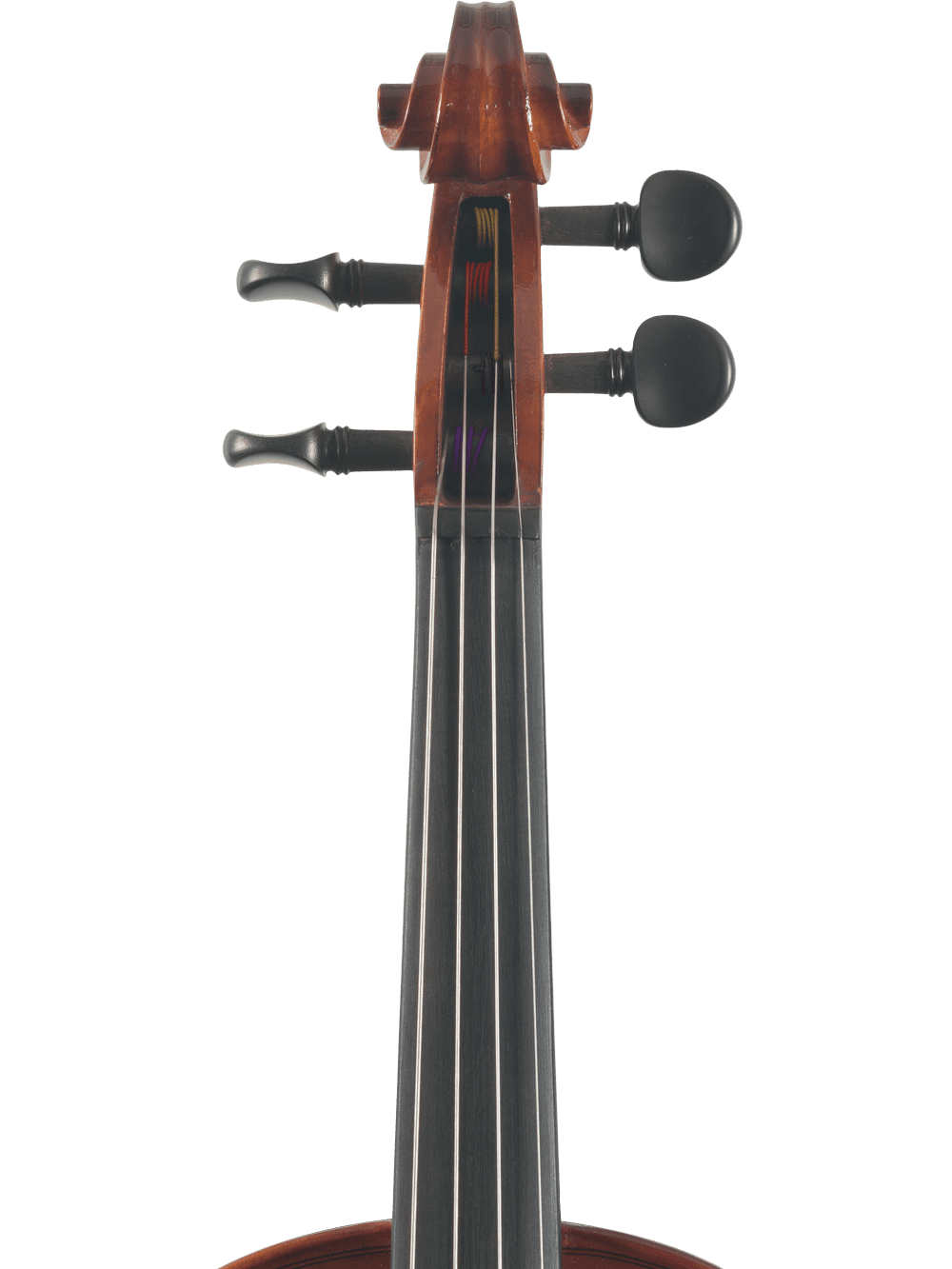 Close-up of the upper neck and tuning pegs on the Canzona Sonata 200 Series Student Viola Outfit – Hand Carved Spruce & Maple, ideal for advancing students, shown against a plain white background.