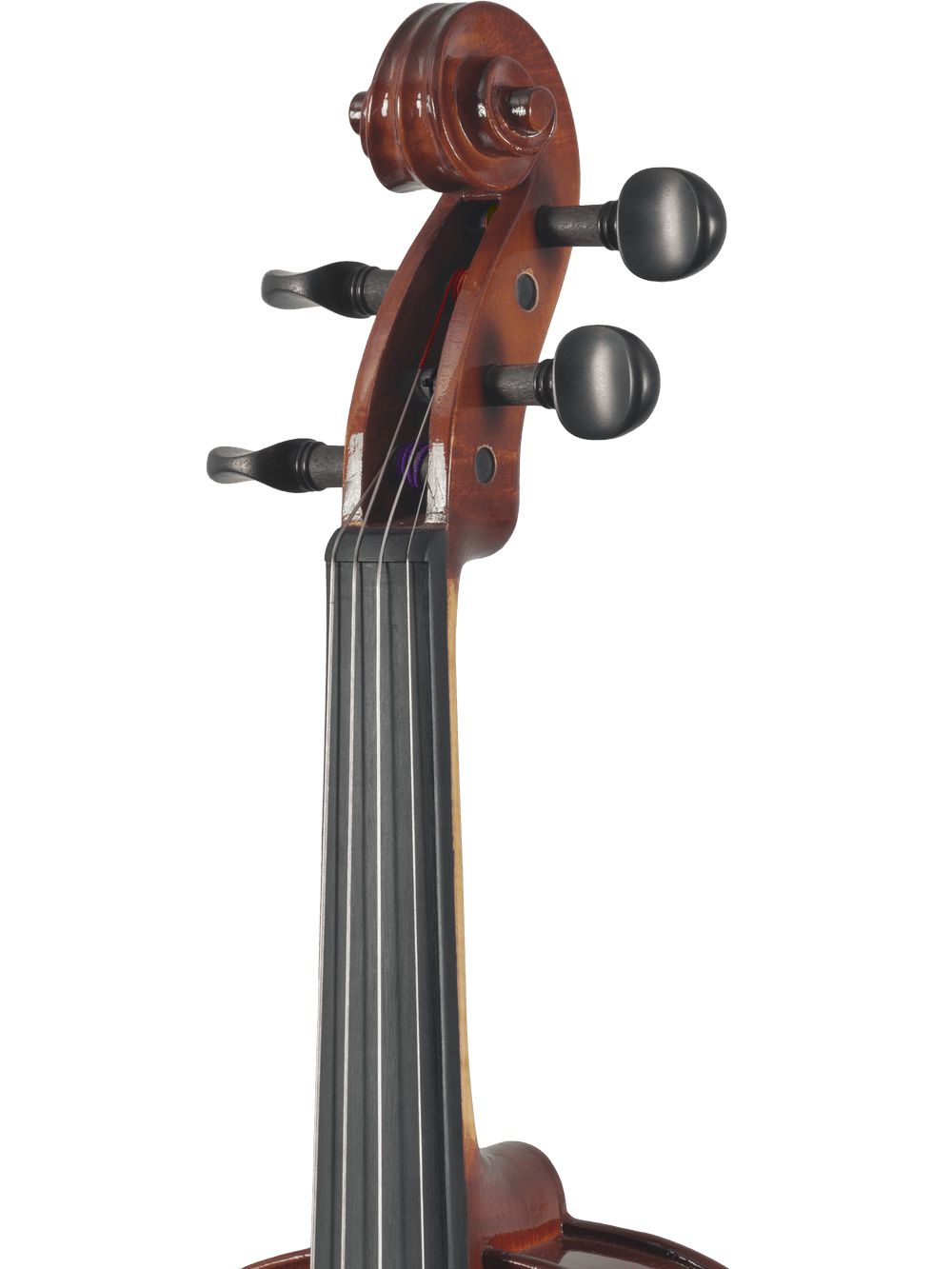 Close-up of the Canzona Sonata 200 Series Student Viola Outfit, showcasing the hand-carved scroll, tuning pegs, and fingerboard against a white background.