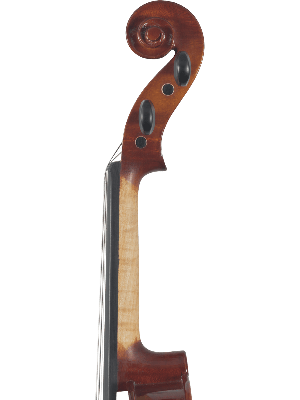 Close-up of the scroll and pegbox of a Canzona Sonata 200 Series Student Viola Outfit – Hand Carved Spruce & Maple, showing tuning pegs and part of the fingerboard, set against a plain white background.
