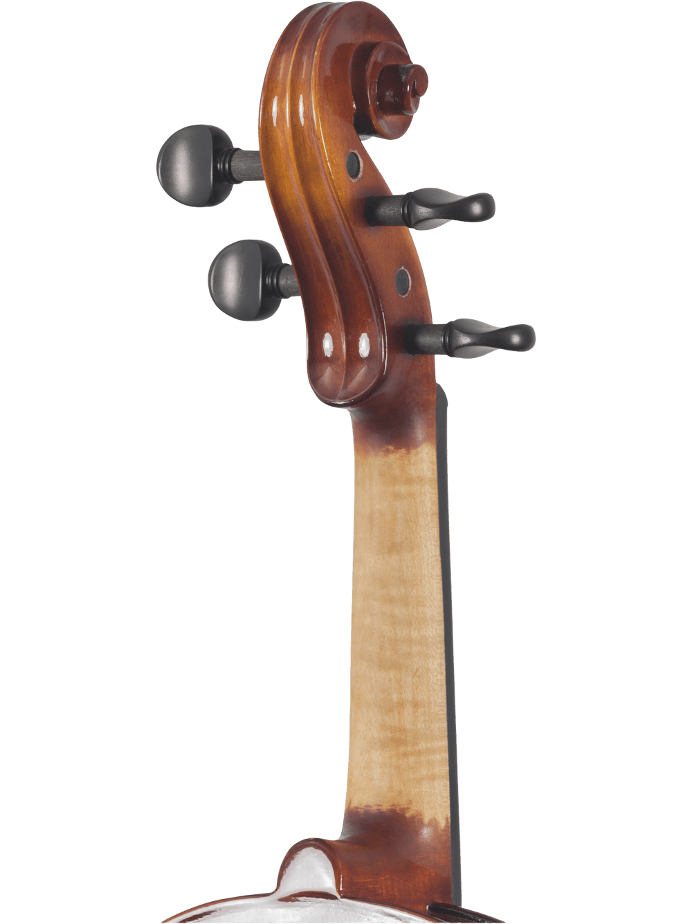 Close-up of the scroll, pegs, and neck of a Canzona Sonata 200 Series Student Viola Outfit – Hand Carved Spruce & Maple, perfect for advancing students, shown against a plain white background.