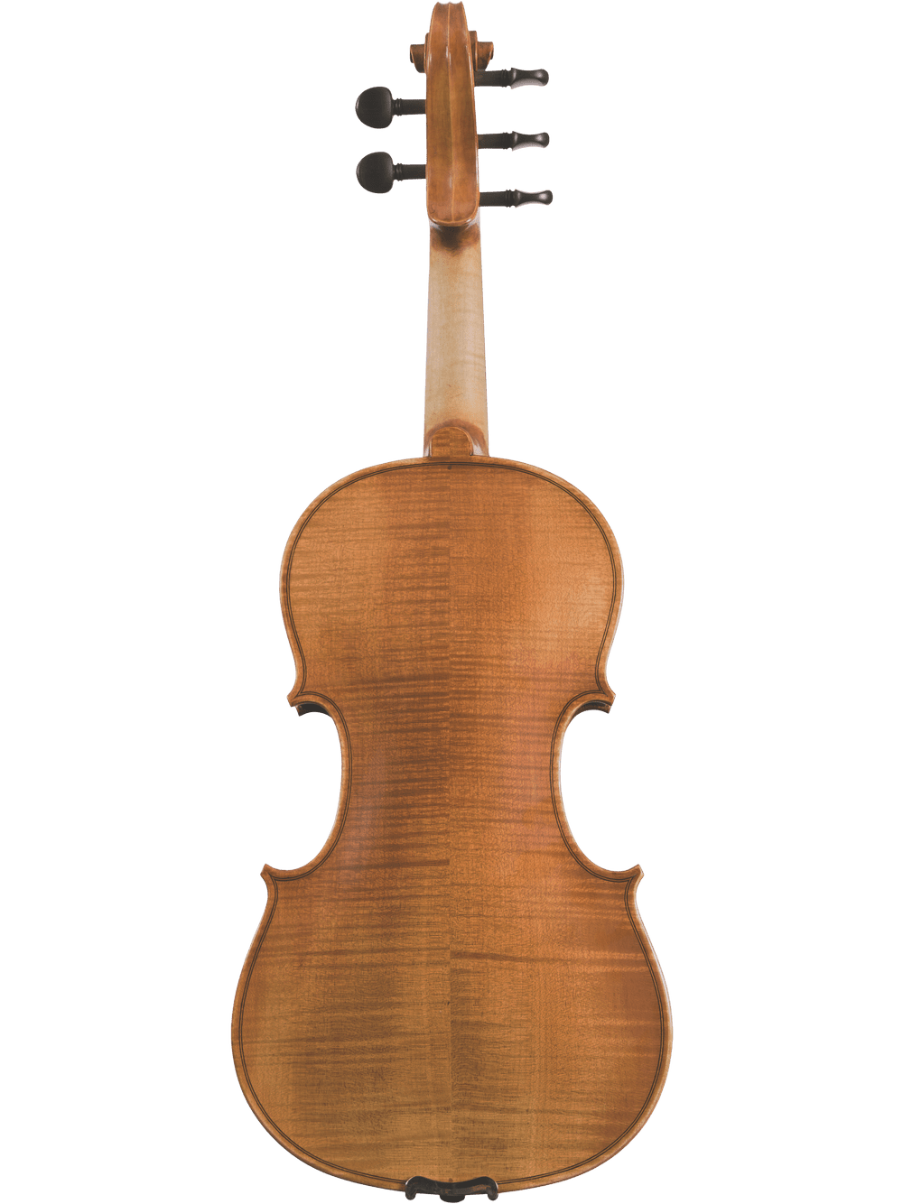 The image displays the back of the Canzona Violina Cinque 5-String Violin, featuring a light brown finish, gently curved body, and visible wood grain against a white background. This violin is ideal for educational purposes.