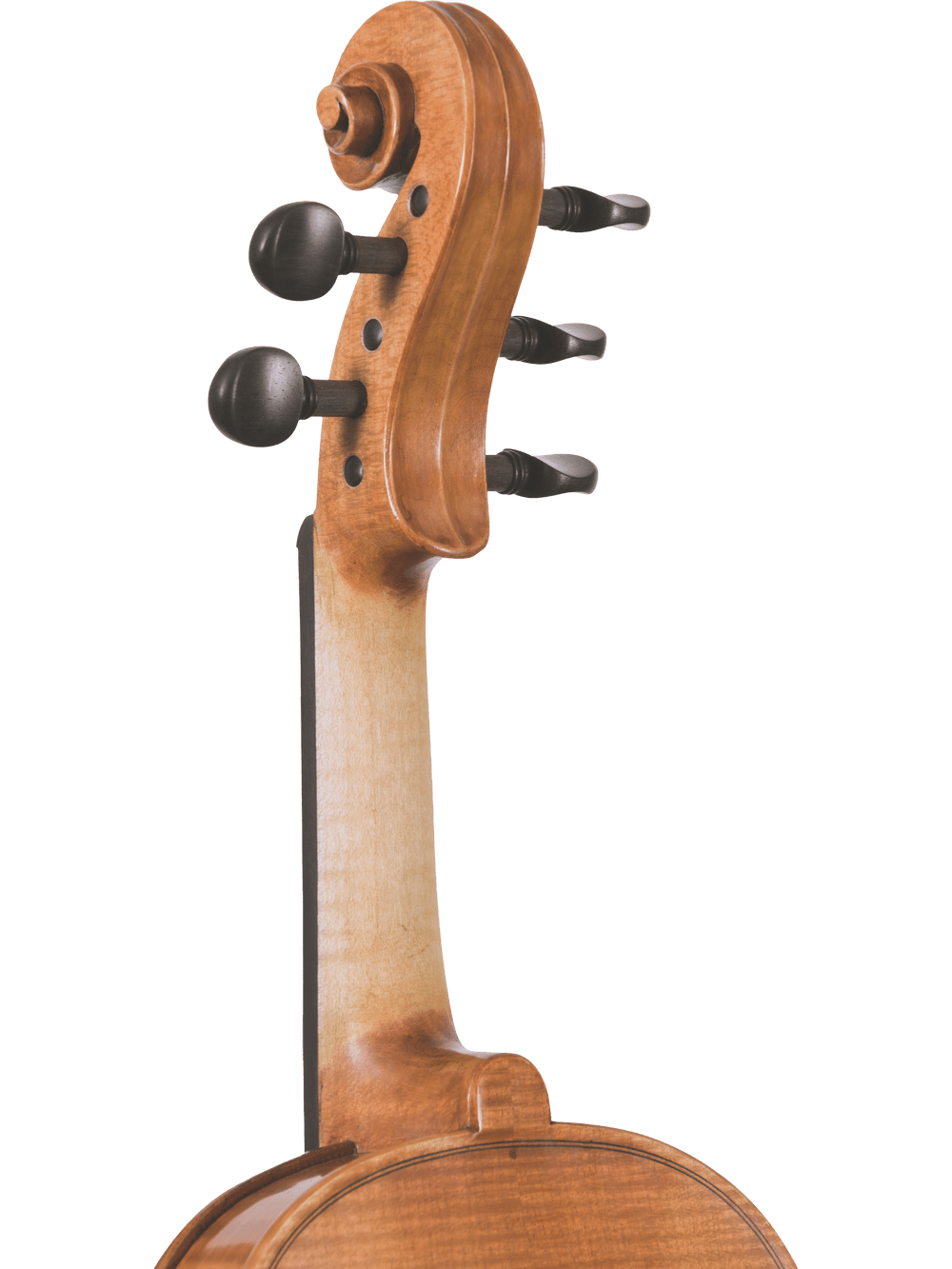 Close-up of the Canzona Violina Cinque 5-String Violin’s scroll, pegbox, and tuning pegs against a white background highlights the smooth wood grain and fine craftsmanship of this versatile teaching instrument.