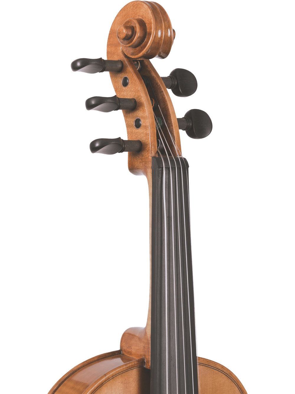 Close-up of the upper part of the Canzona Violina Cinque 5-String Violin, showing its tuning pegs, scroll, and fingerboard against a plain white background.