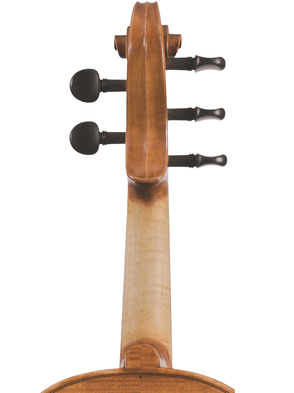 Close-up of the Canzona Violina Cinque 5-String Violin's neck and scroll, highlighting three dark tuning pegs against a white background.