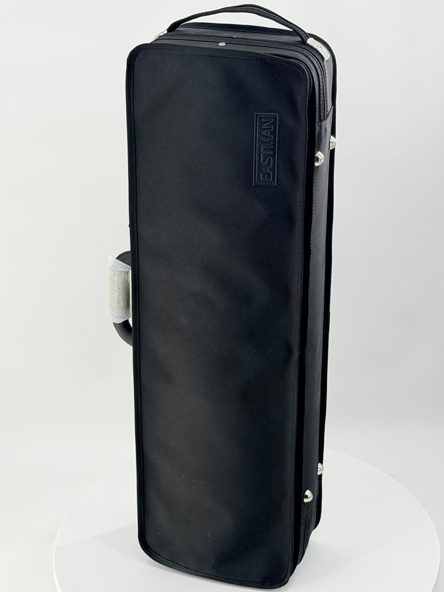 The Eastman CA1908 Oblong Violin Case, rectangular and black with a handle and zipper, stands upright on a white surface against a plain white background.