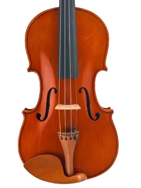 A close-up view of a classical wooden violin, such as the Eastman VL200 4/4 Violin, showing the strings, bridge, f-holes, and tailpiece against a white background.